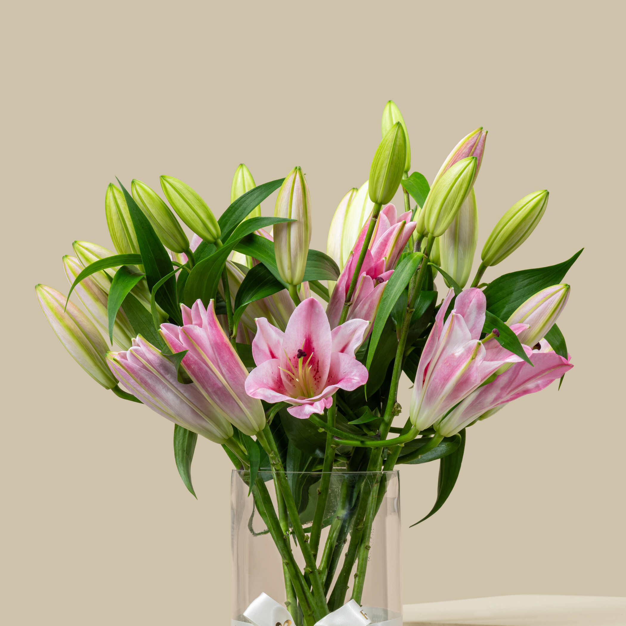 Elegant Pink Lily Vase Elegant Pink Lily Vase