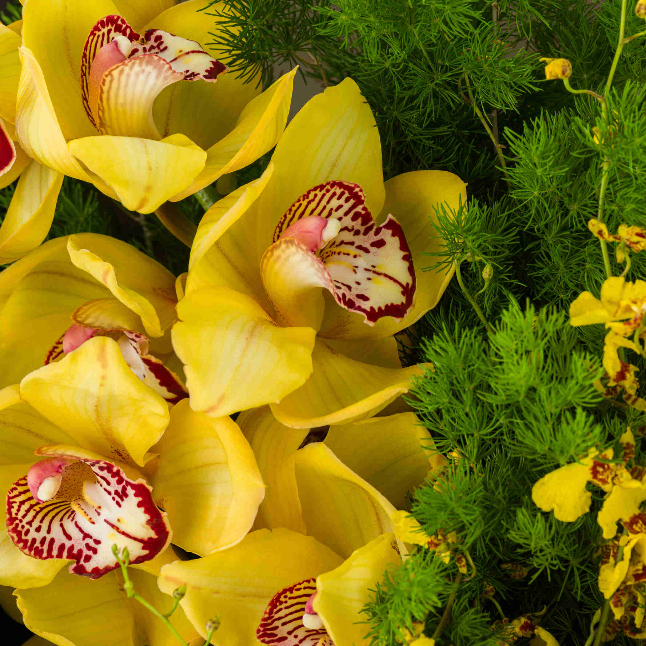 Yellow Gold Bouquet Yellow Gold Bouquet