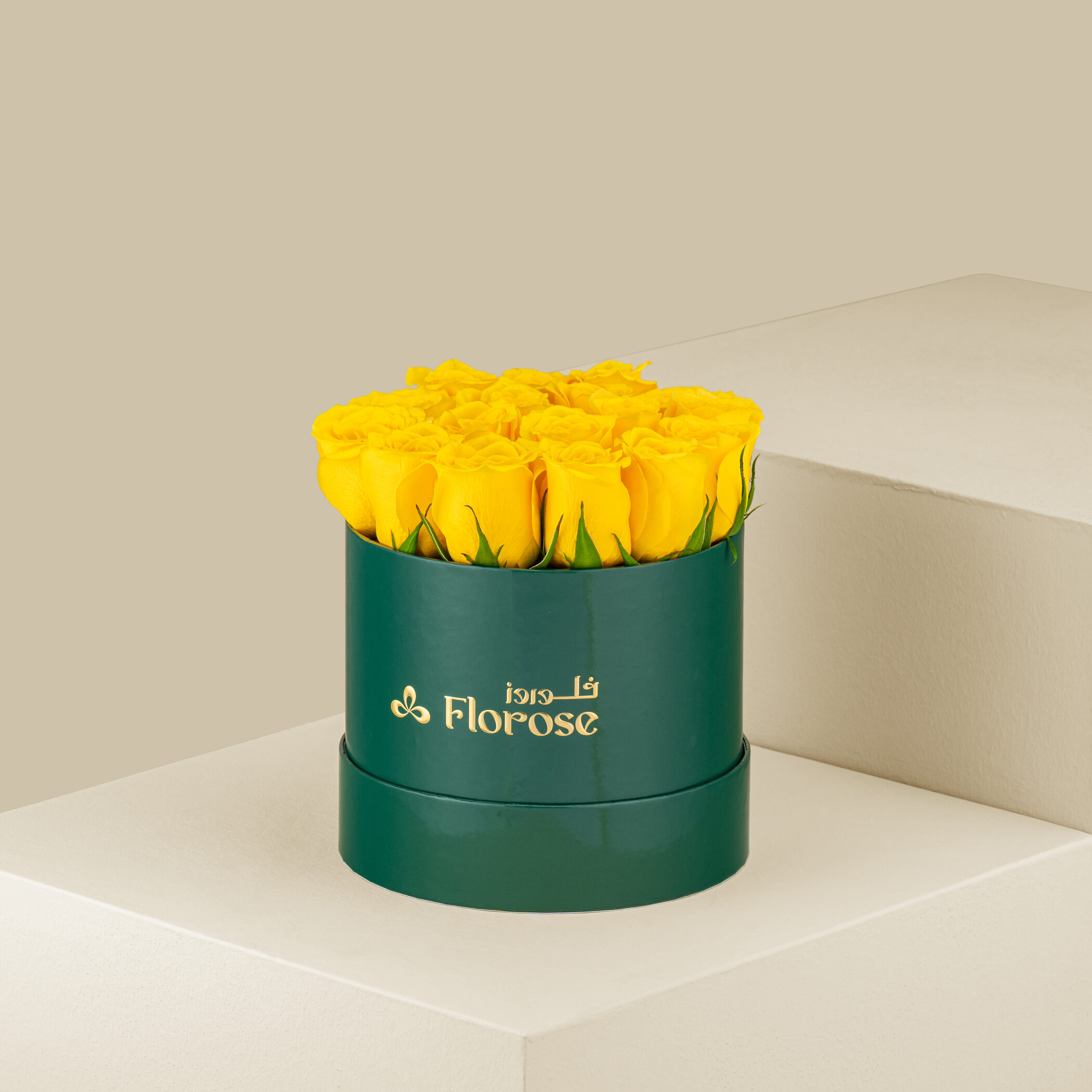 Sunshine Box Sunshine Box