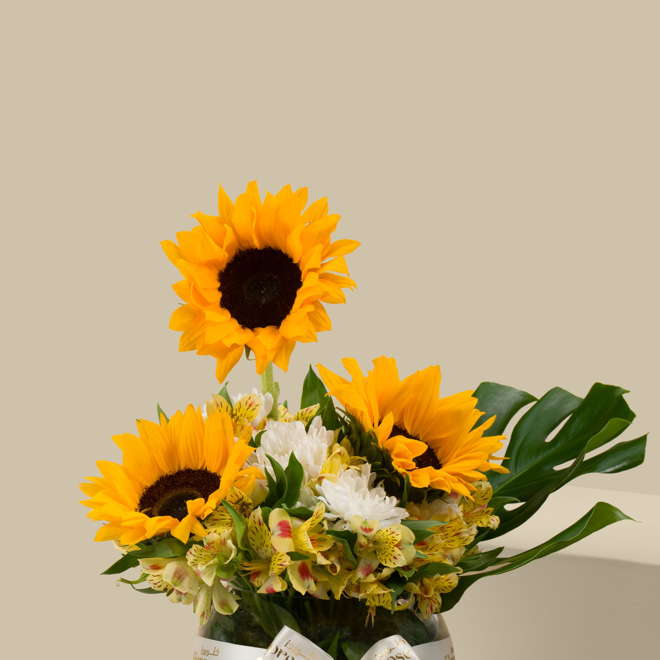 Light Touch Round Vase Light Touch Round Vase