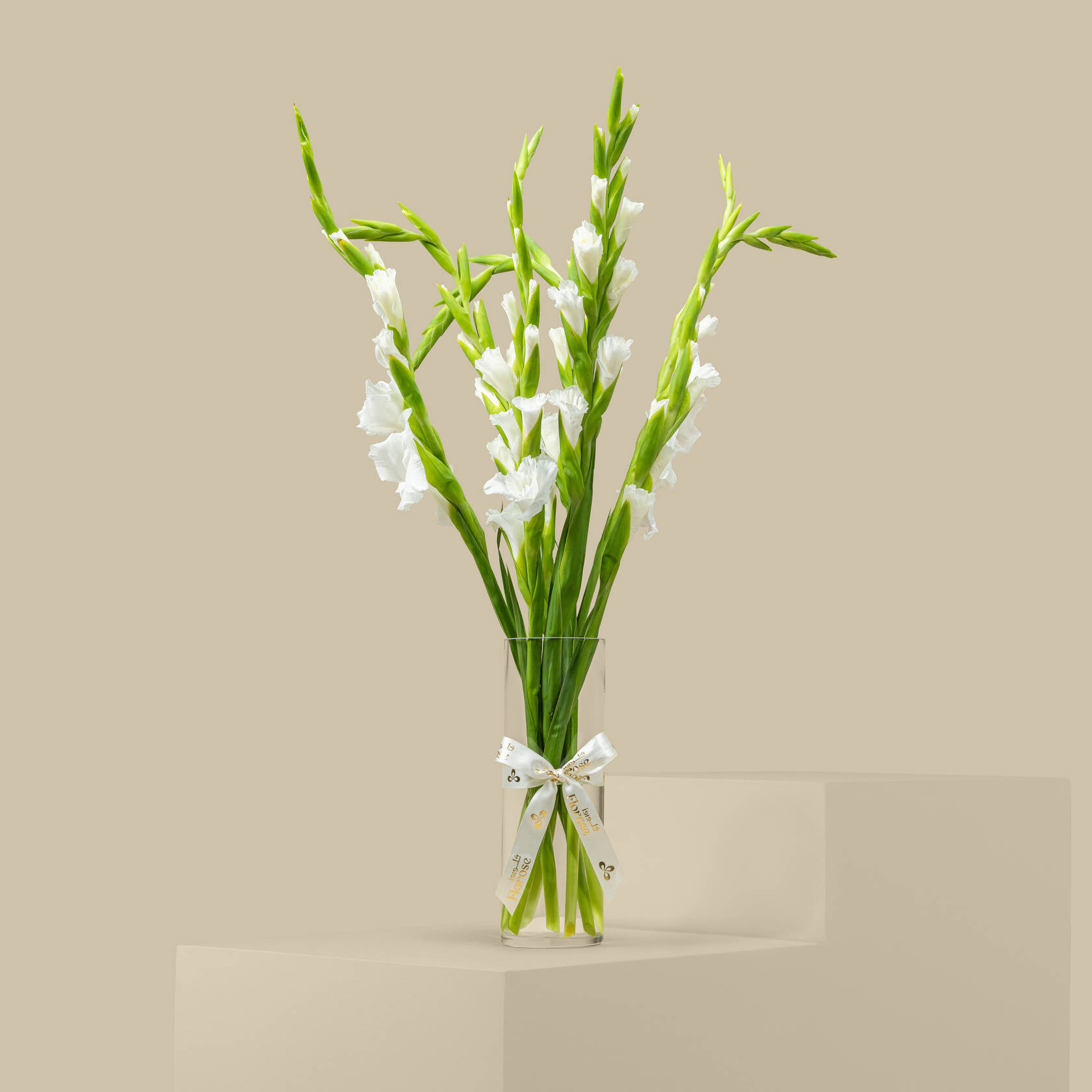 White Gladiolus Vase White Gladiolus Vase
