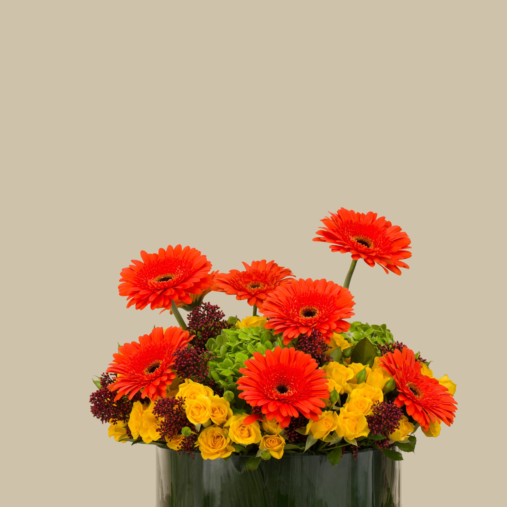 Bright Sun Round Vase Bright Sun Round Vase