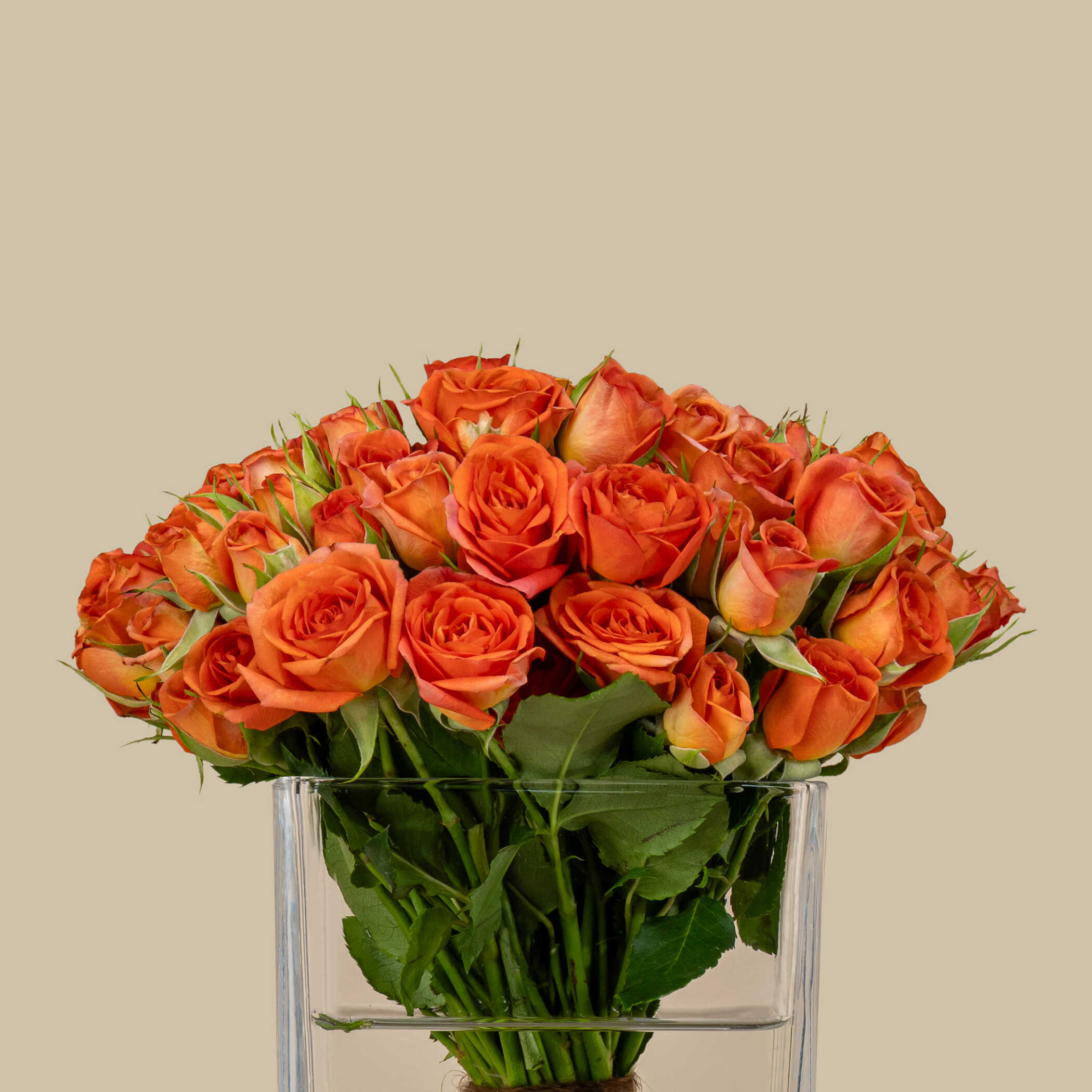 Fresh Spray Rose Square Vase Orange | 15 Flowers Fresh Spray Rose Square Vase Orange | 15 Flowers