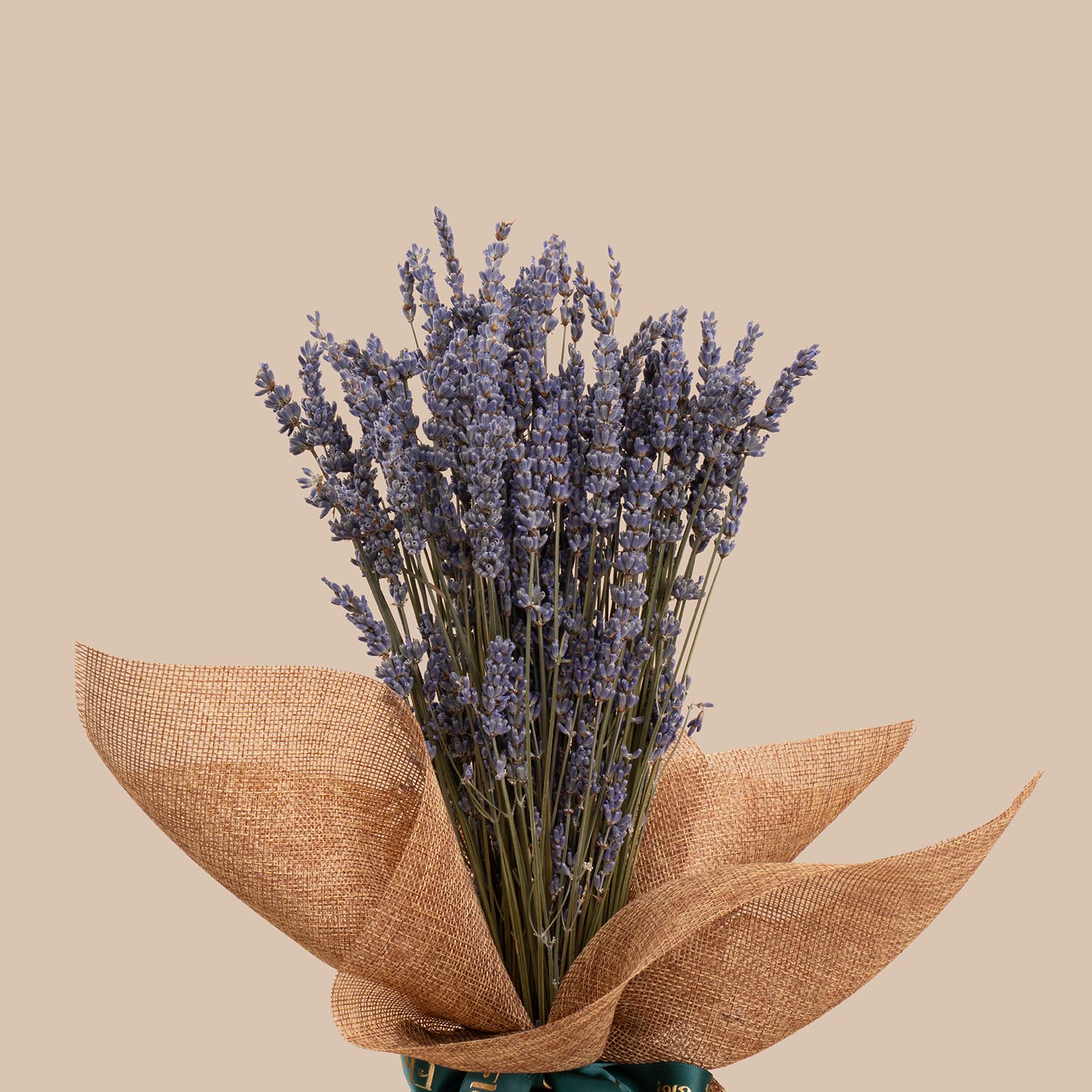 Preserved Lavender Round Vase Preserved Lavender Round Vase