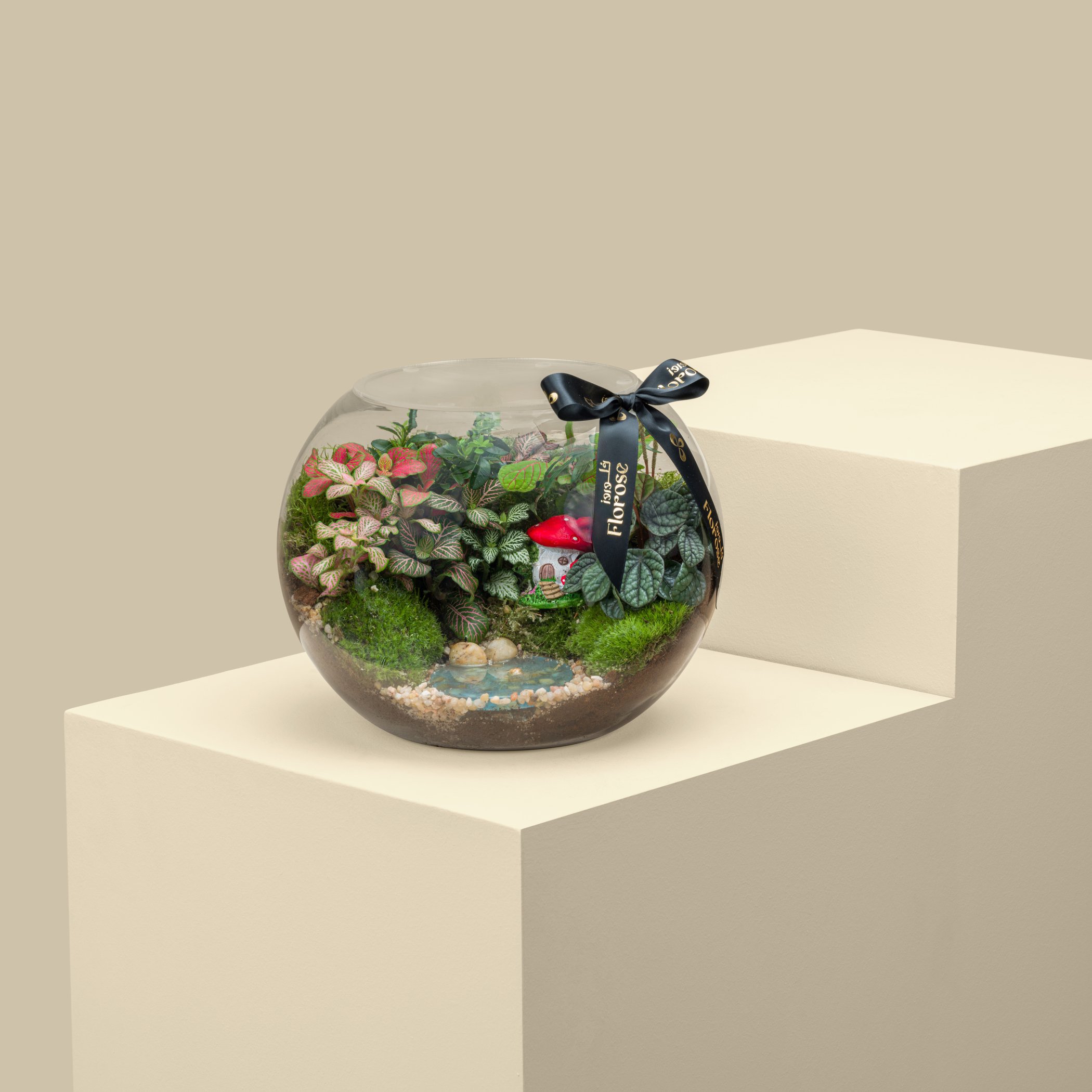 Terrarium Mushroom Forest | Large Terrarium Mushroom Forest | Large
