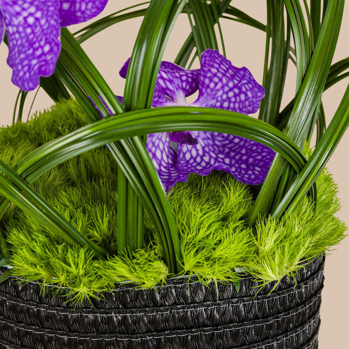 Purple Gleam Basket Purple Gleam Basket