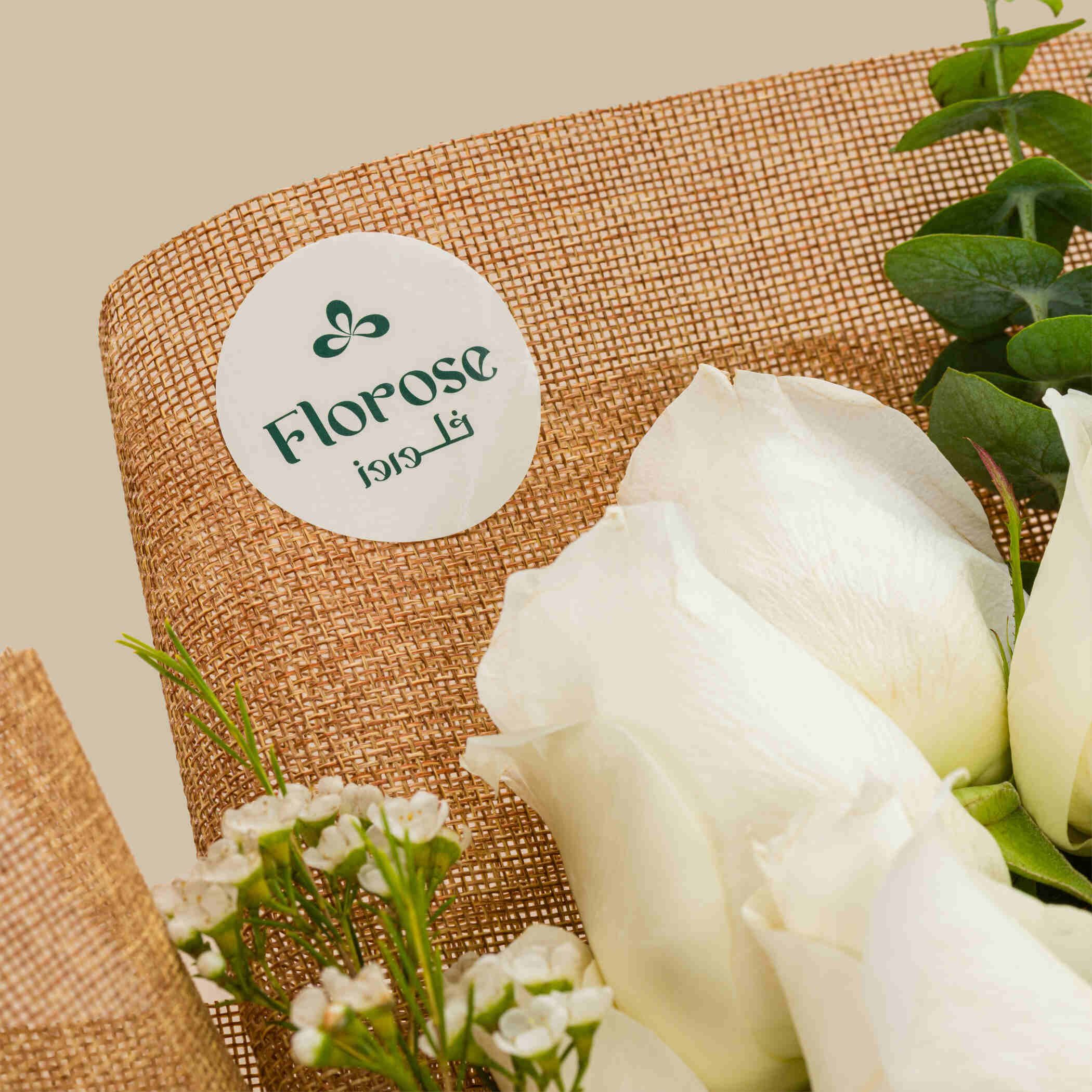 باقة القمر المضيء باقة القمر المضيء