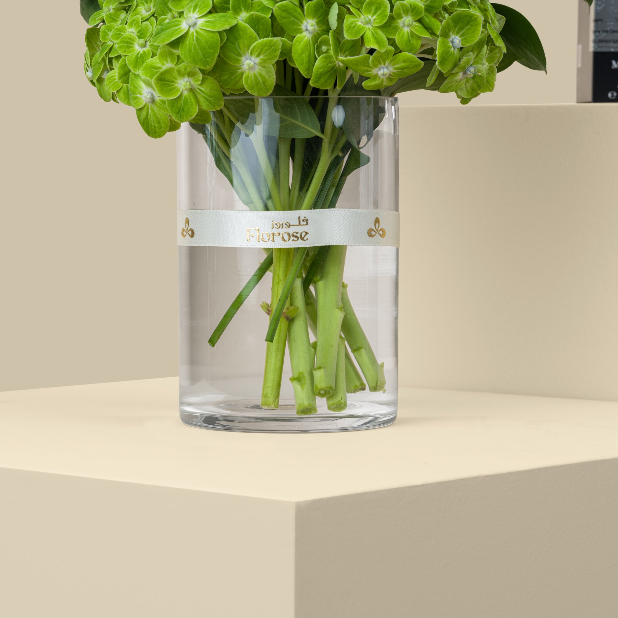 عطر دانسنغ أون ذا مون ريبليكا ميزون مارجيلا | مزهرية ضوء القمر عطر دانسنغ أون ذا مون ريبليكا ميزون مارجيلا | مزهرية ضوء القمر