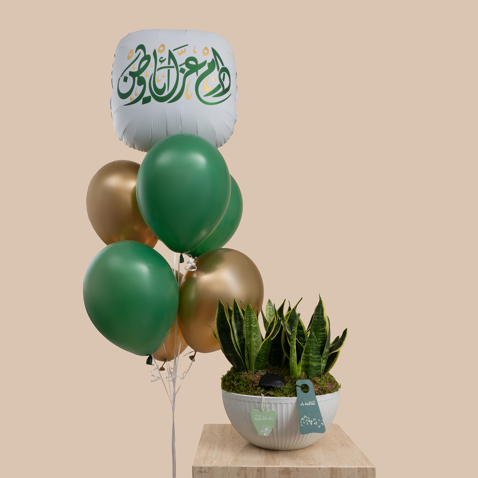 سلة نبتة السانسيفيريا | مجموعة بالون اليوم الوطني السعودي سلة نبتة السانسيفيريا | مجموعة بالون اليوم الوطني السعودي
