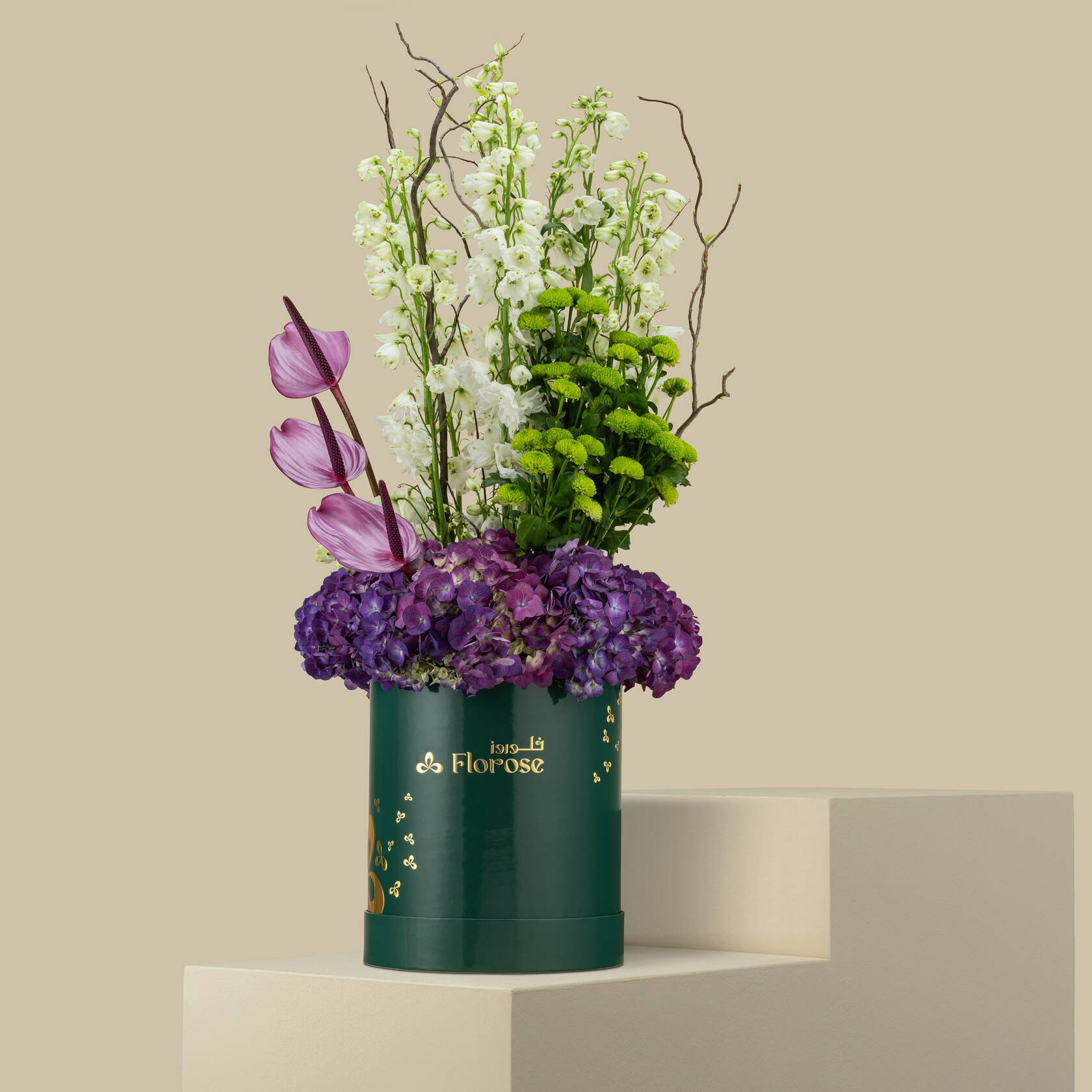 Spring Symphony Box Spring Symphony Box