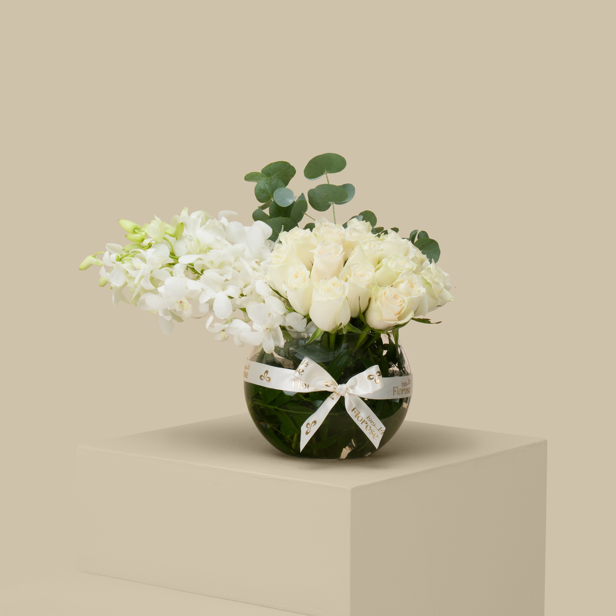 مزهرية دائرية همس النقاء مزهرية دائرية همس النقاء