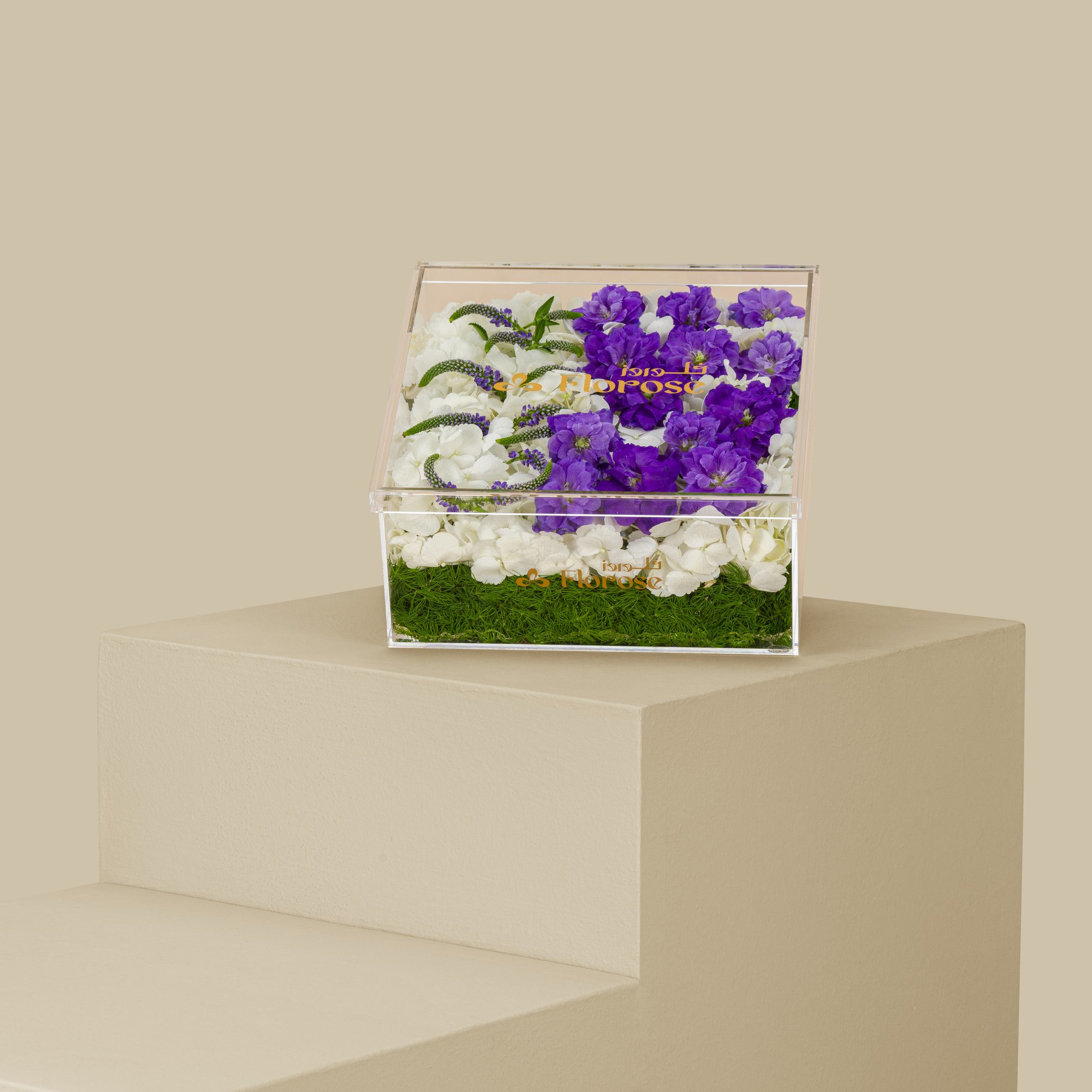 Acrylic Box Purple Shine Acrylic Box Purple Shine