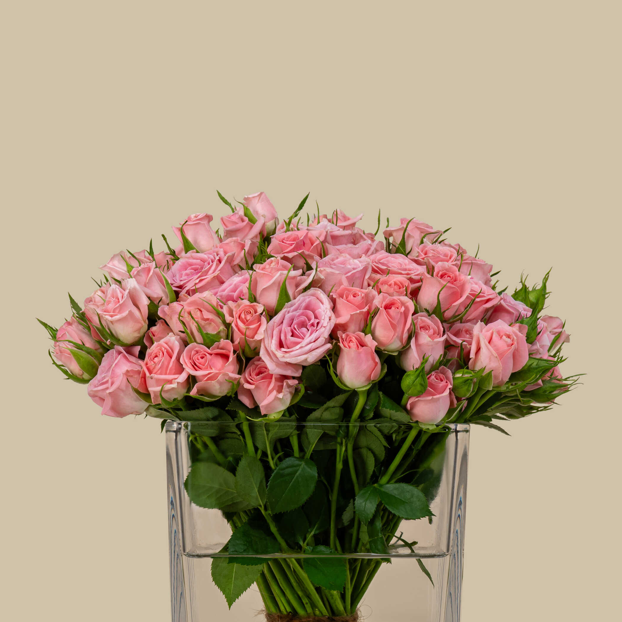 Glorious Spray Rose Square Vase Pink | 30 Flowers Glorious Spray Rose Square Vase Pink | 30 Flowers