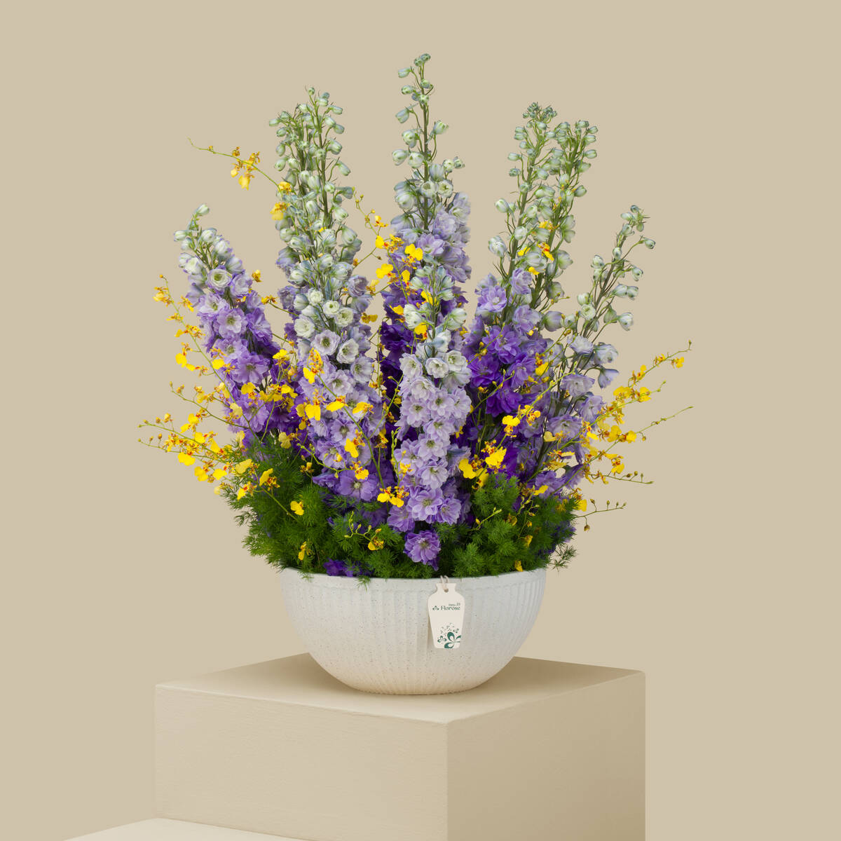 Violet Oasis Premium Vase Violet Oasis Premium Vase