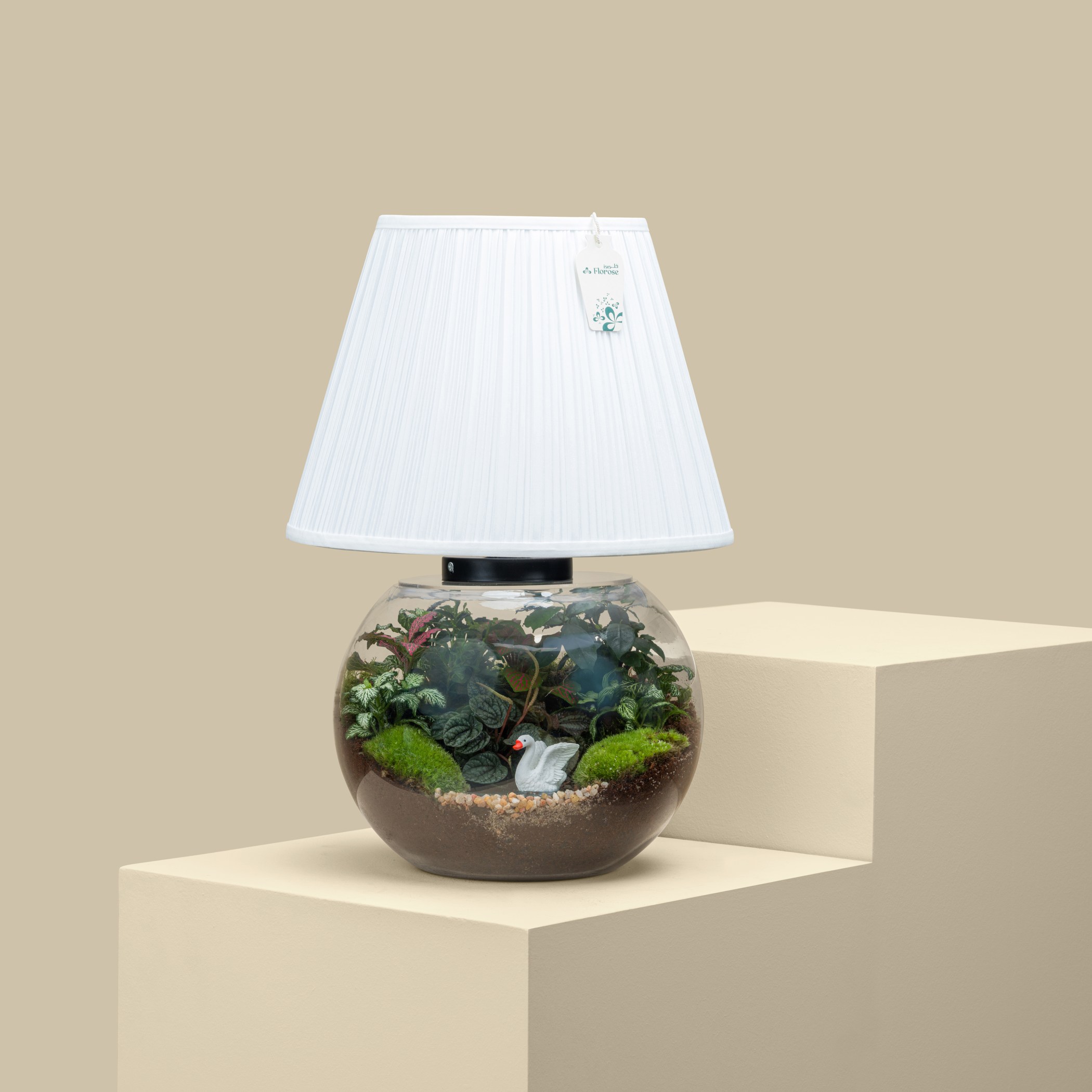 Bonsai Lake Terrarium Lamp | Large Bonsai Lake Terrarium Lamp | Large