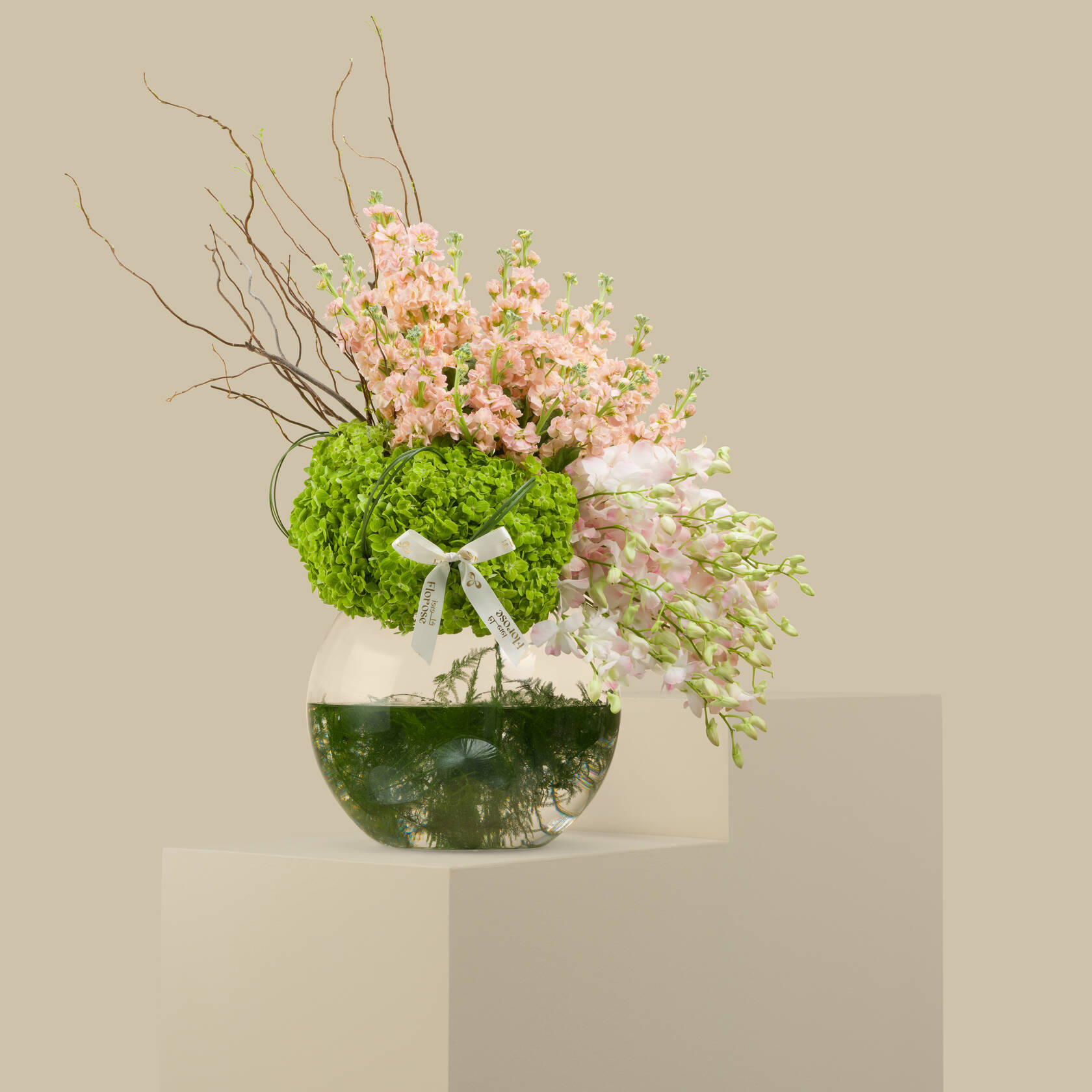 مزهرية دائرية الأناقة مزهرية دائرية الأناقة