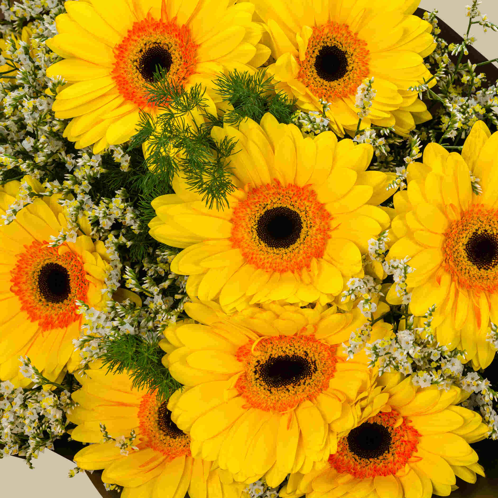 Optimism Dose Bouquet Optimism Dose Bouquet
