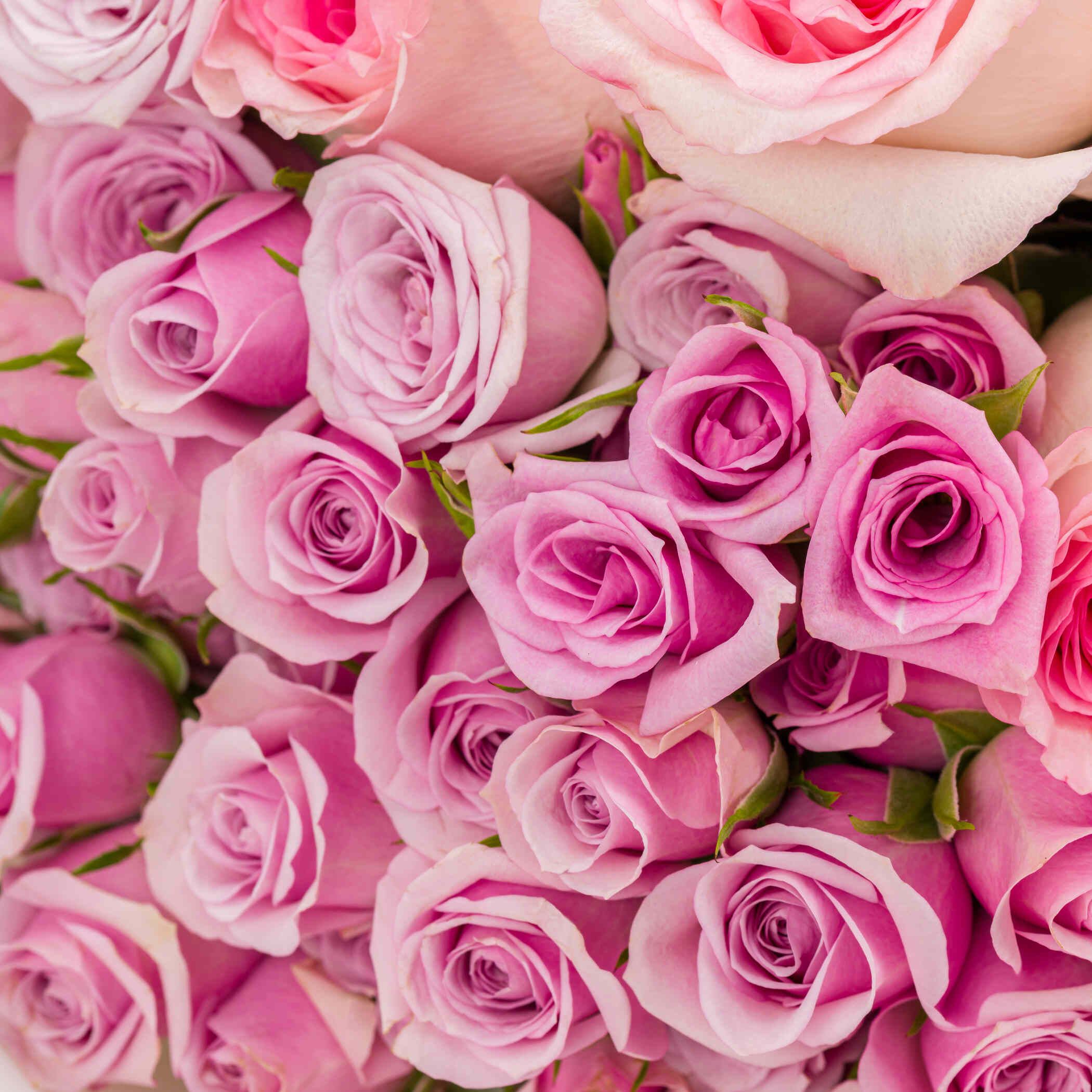 Creed Queen Of Silk EDP | Lilac Touch Bouquet Creed Queen Of Silk EDP | Lilac Touch Bouquet