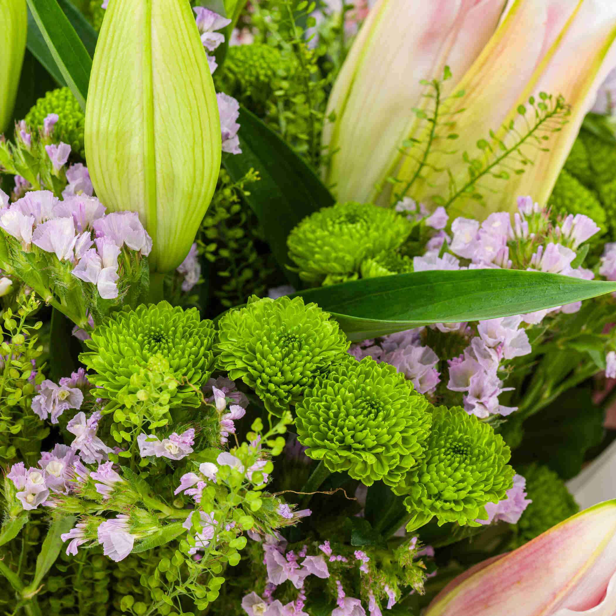 Blushing Petals Bouquet Blushing Petals Bouquet