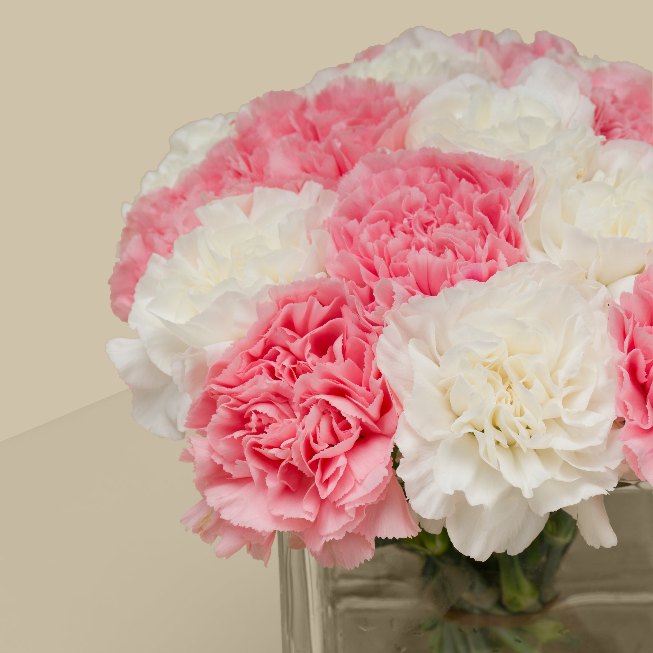Carnation Mix Square Vase Carnation Mix Square Vase