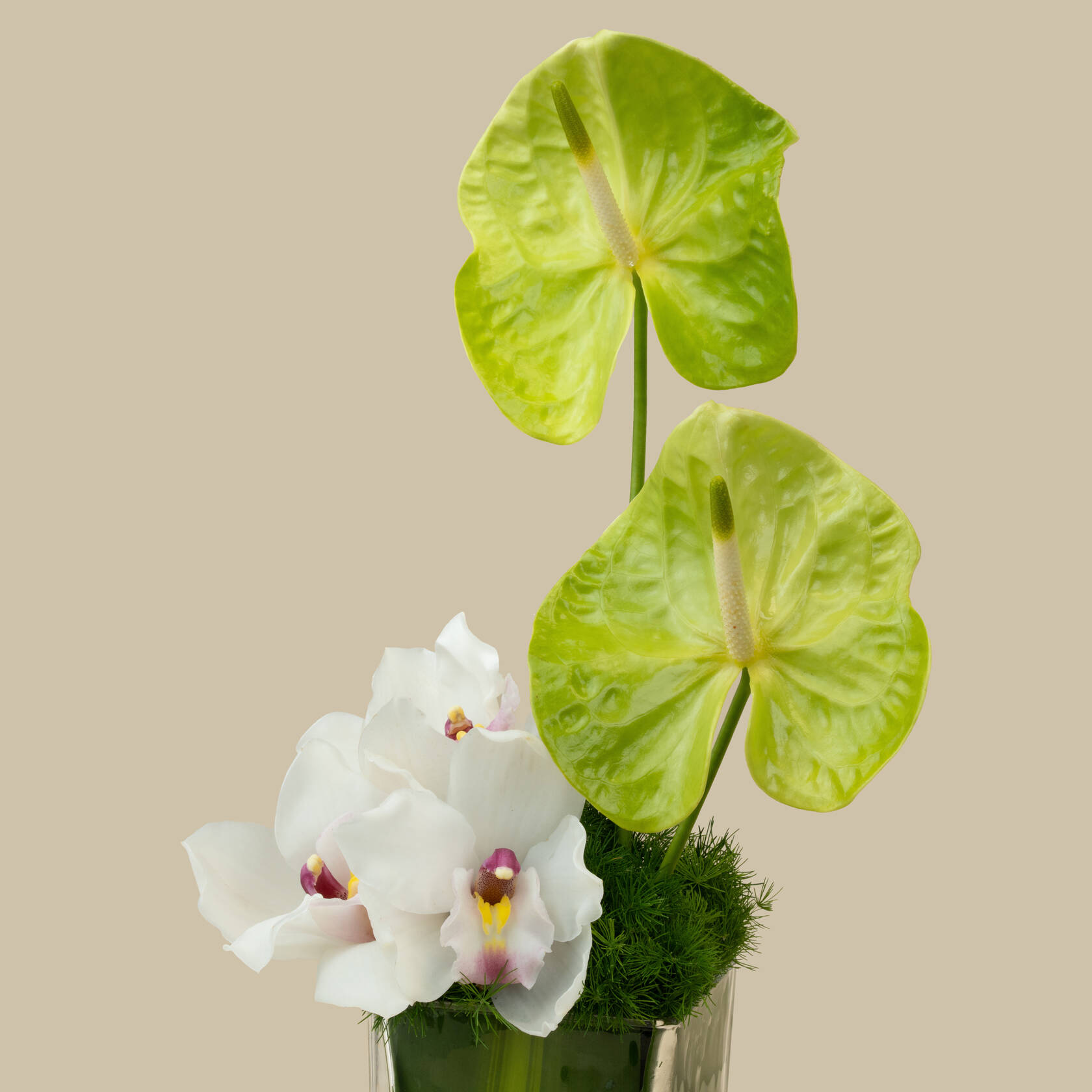 Damas | Dubai Bracelet Amelia | Heartfelt Warmth Square Vase Damas | Dubai Bracelet Amelia | Heartfelt Warmth Square Vase