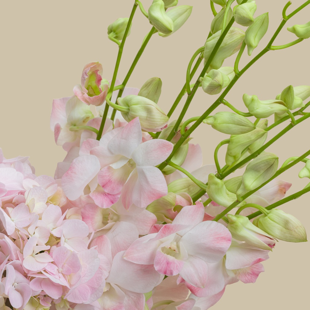 Giorgio Armani Oud Royal EDP | Pink Crown Vase Giorgio Armani Oud Royal EDP | Pink Crown Vase