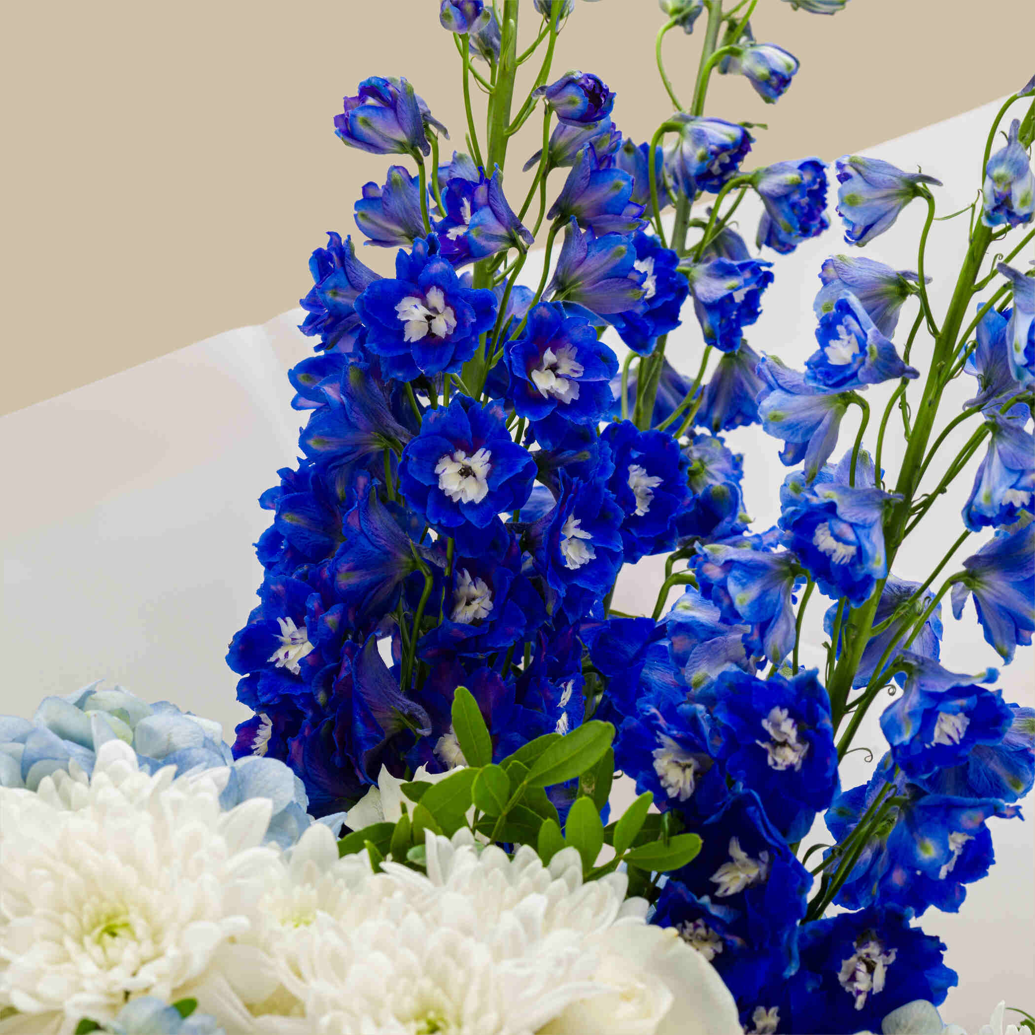 Sea Wave Bouquet Sea Wave Bouquet