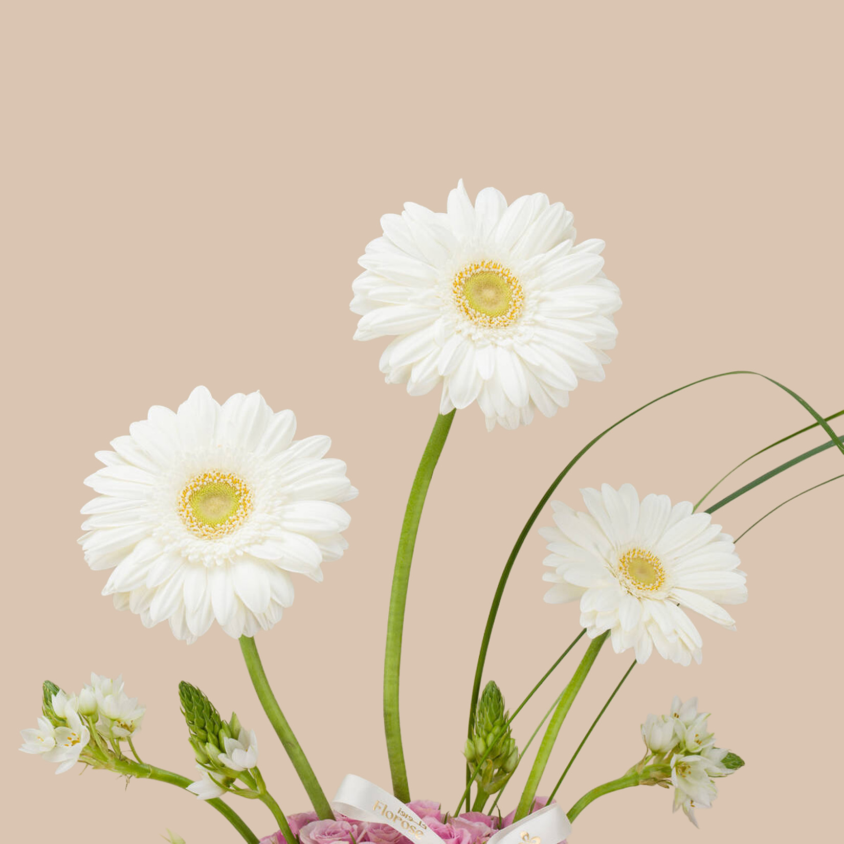 Elegant Pearl Premium Vase Elegant Pearl Premium Vase