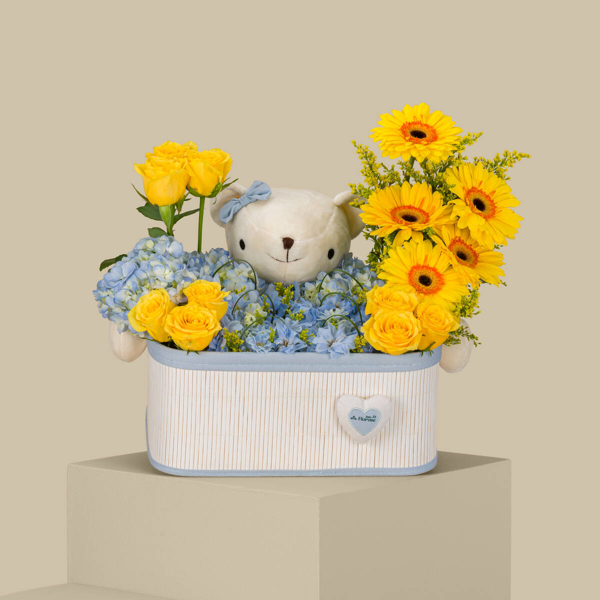 Aurora Basket Aurora Basket