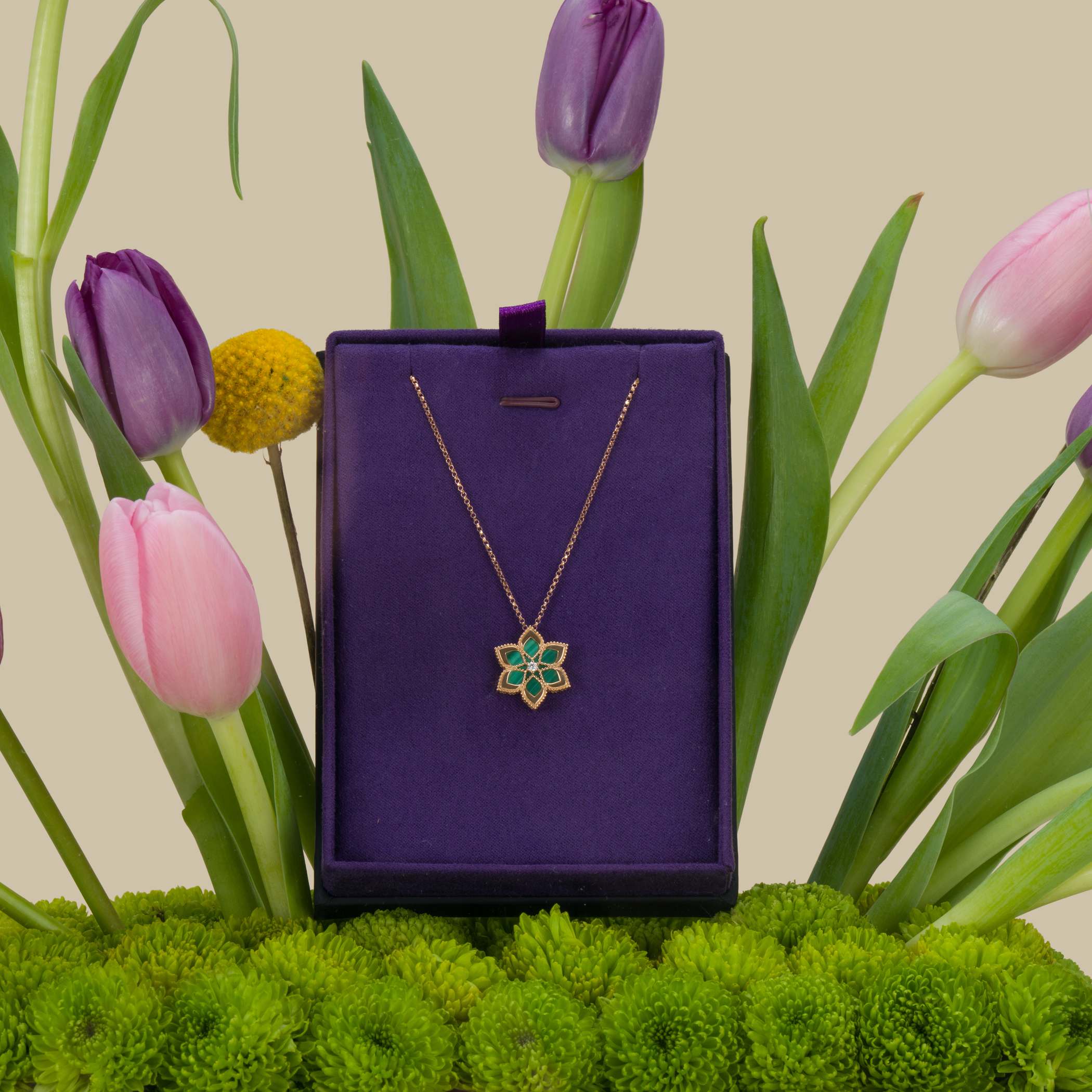 Damas Stella D'Oro Necklace | Delicate Glow Damas Stella D'Oro Necklace | Delicate Glow