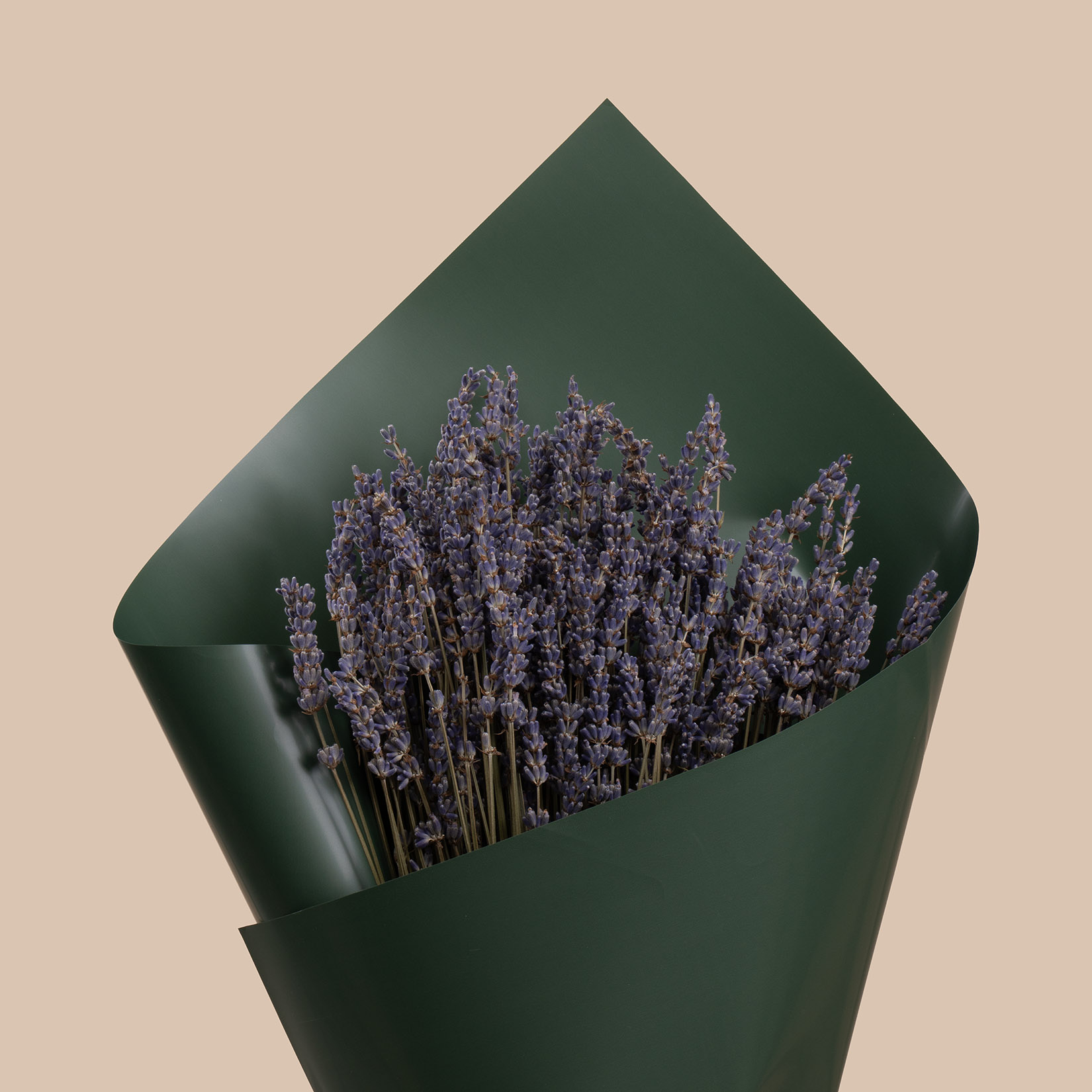 Preserved Lavender | Endless Love Bouquet Preserved Lavender | Endless Love Bouquet