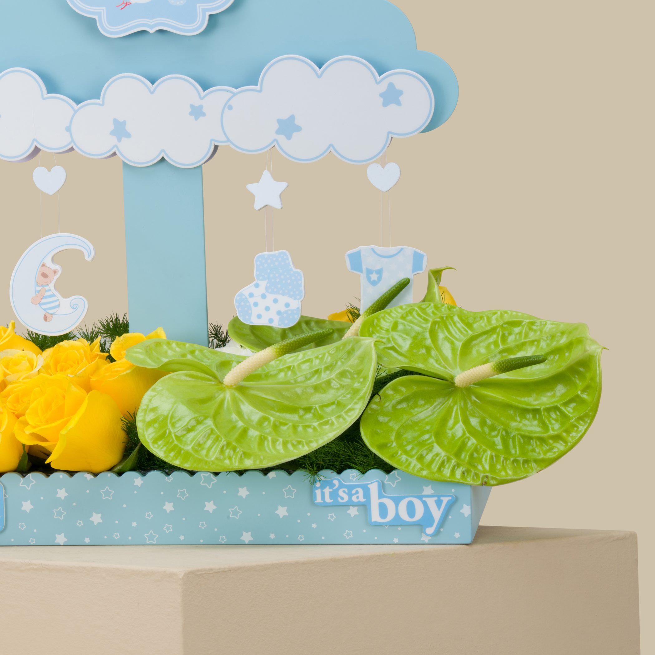 Baby Cloud Tray | Boy Baby Cloud Tray | Boy
