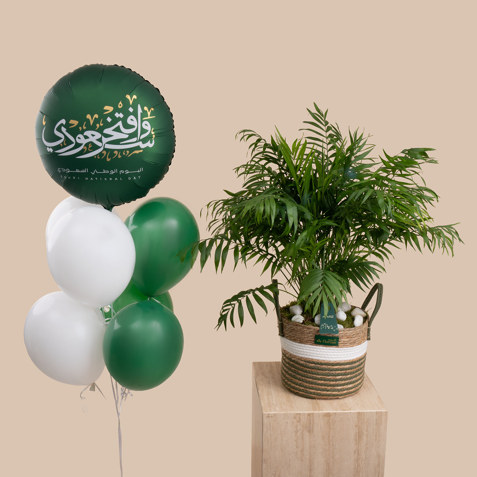 Chamaedorea Plant Basket | Saudi National Day Balloon Set Chamaedorea Plant Basket | Saudi National Day Balloon Set