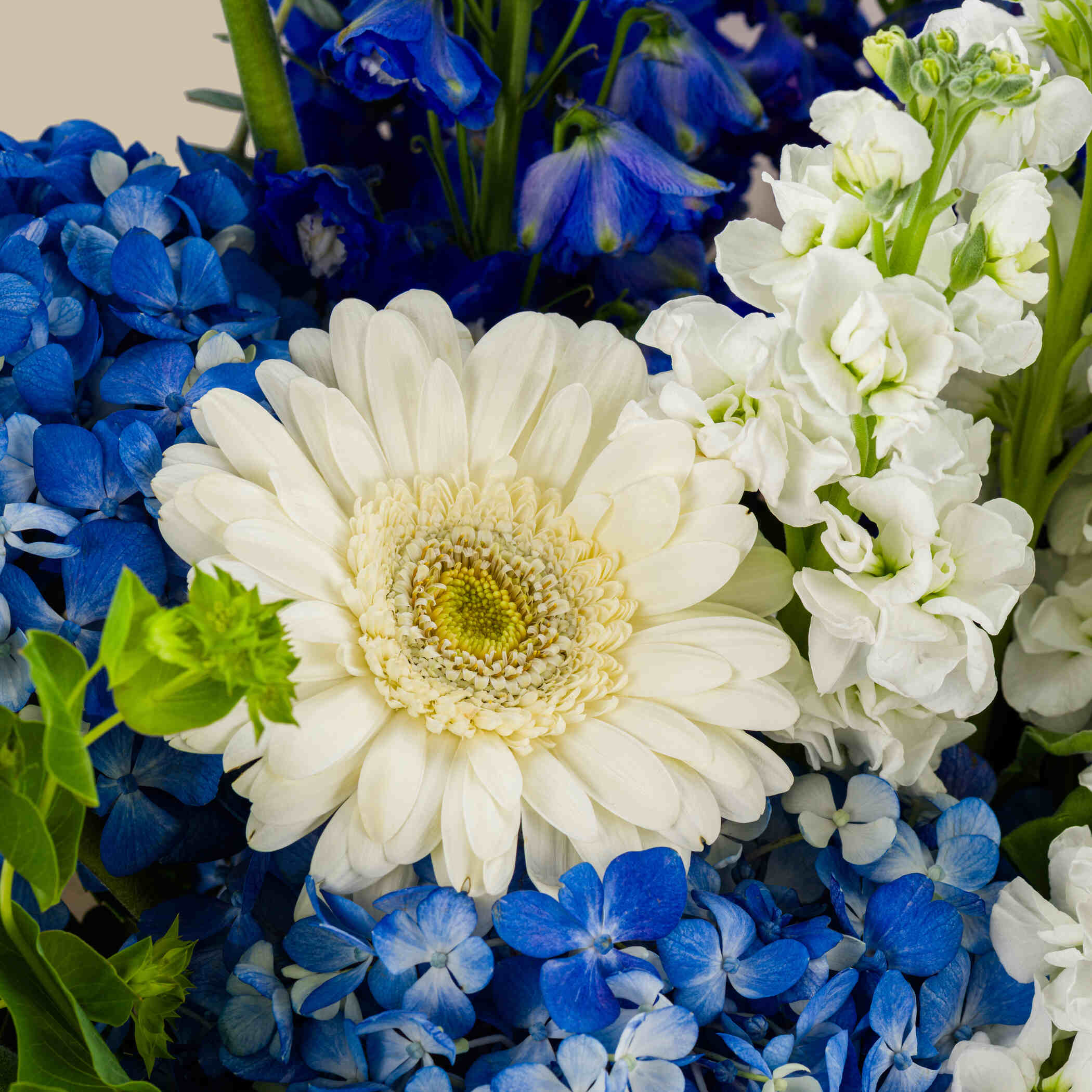 Blue Pearl Bouquet Blue Pearl Bouquet