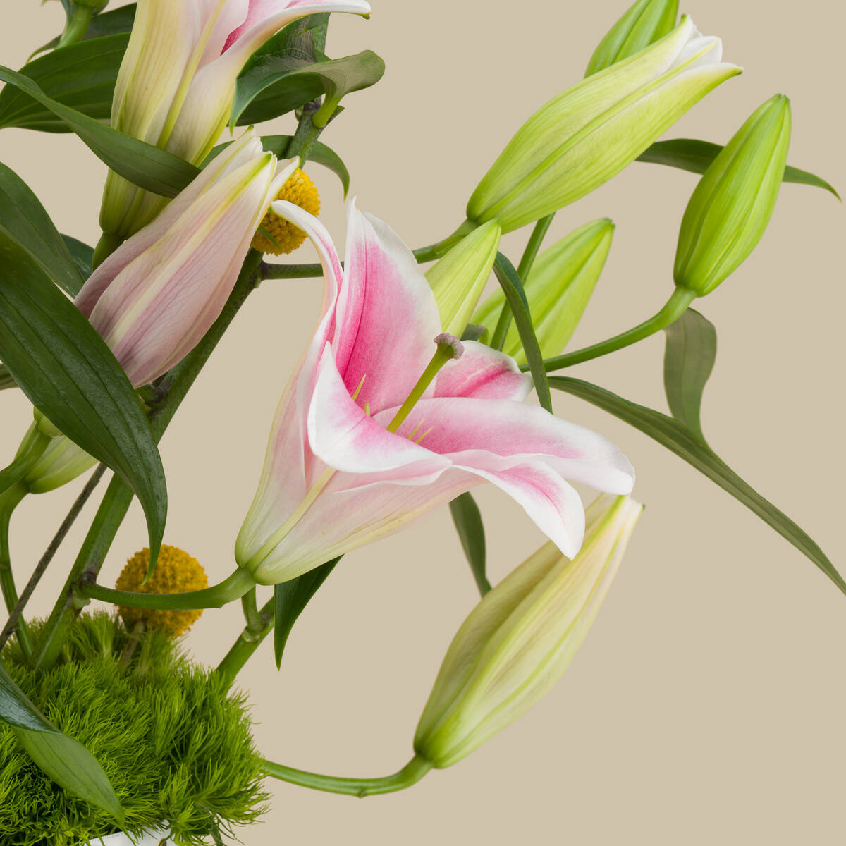 Delicate Premium Vase Delicate Premium Vase