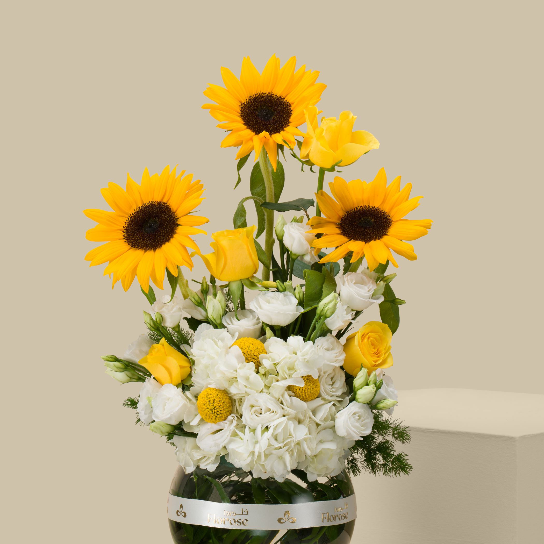 Sun Winged Round Vase Sun Winged Round Vase