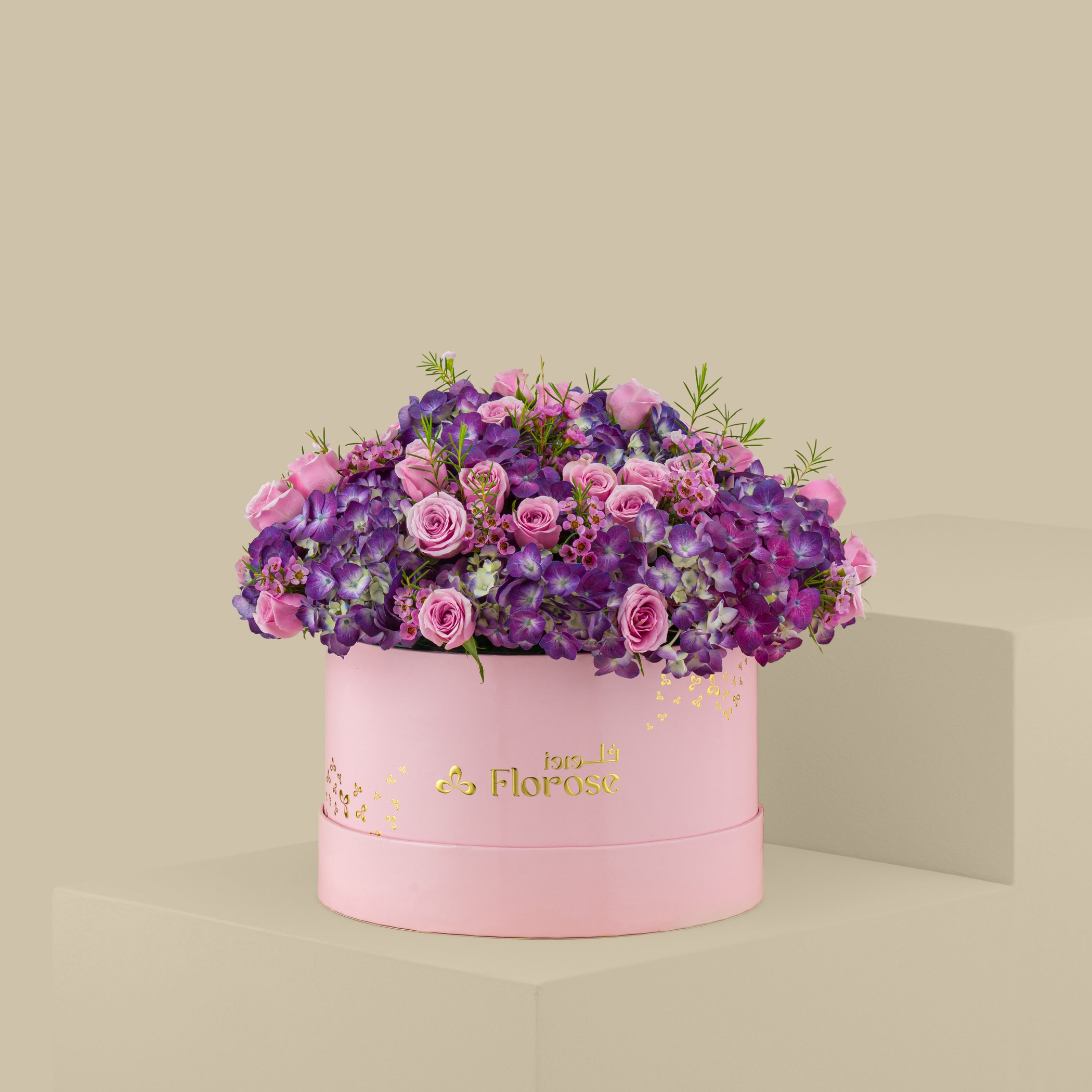 Violet Glow Box Violet Glow Box