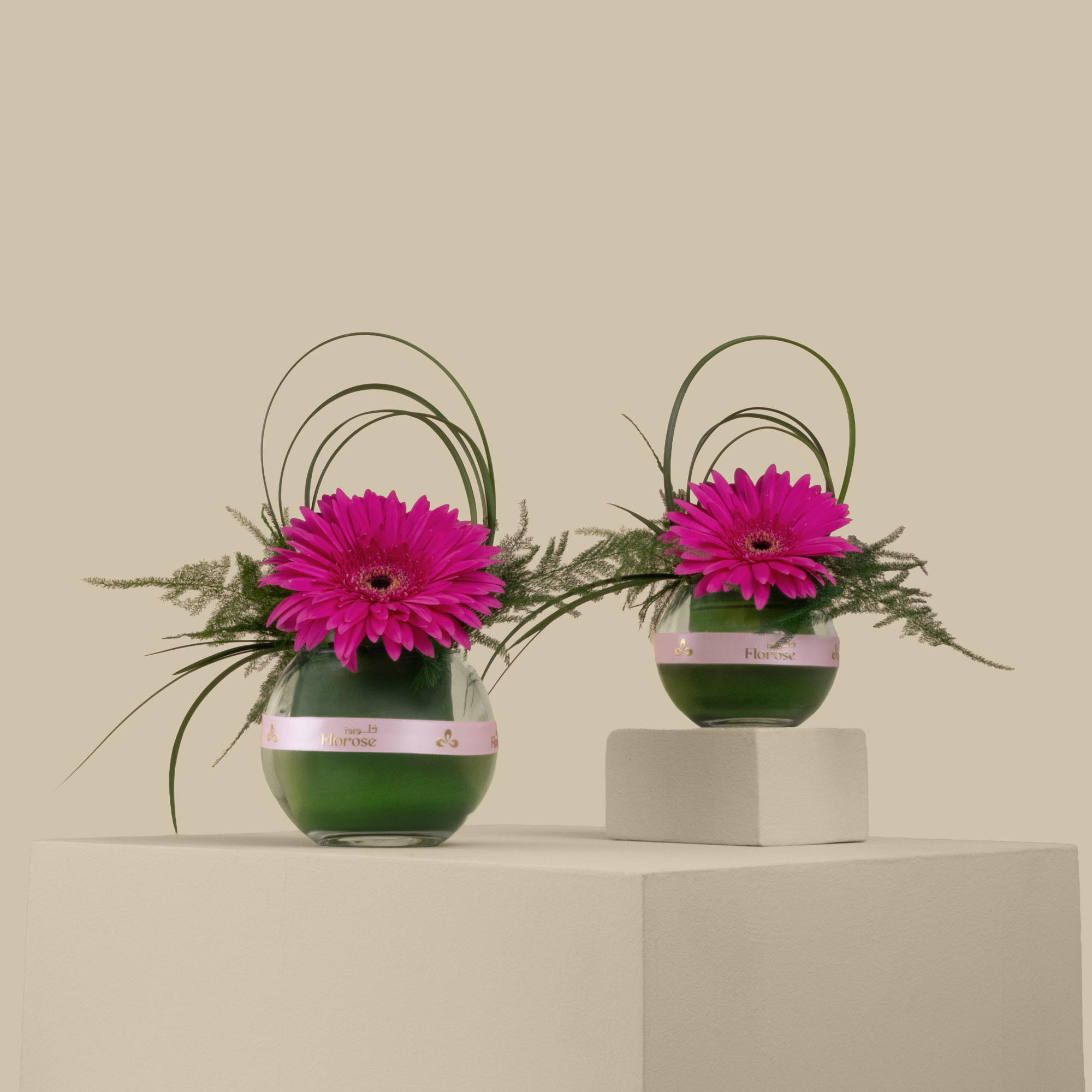 The Exquisite Twin Vase The Exquisite Twin Vase