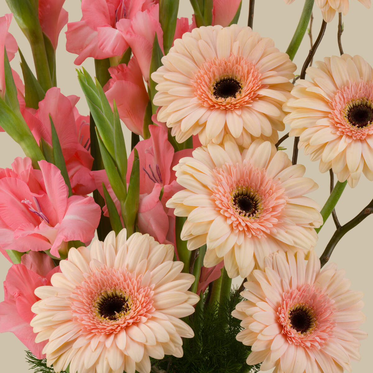 Pinkish Glow Premium Vase Pinkish Glow Premium Vase