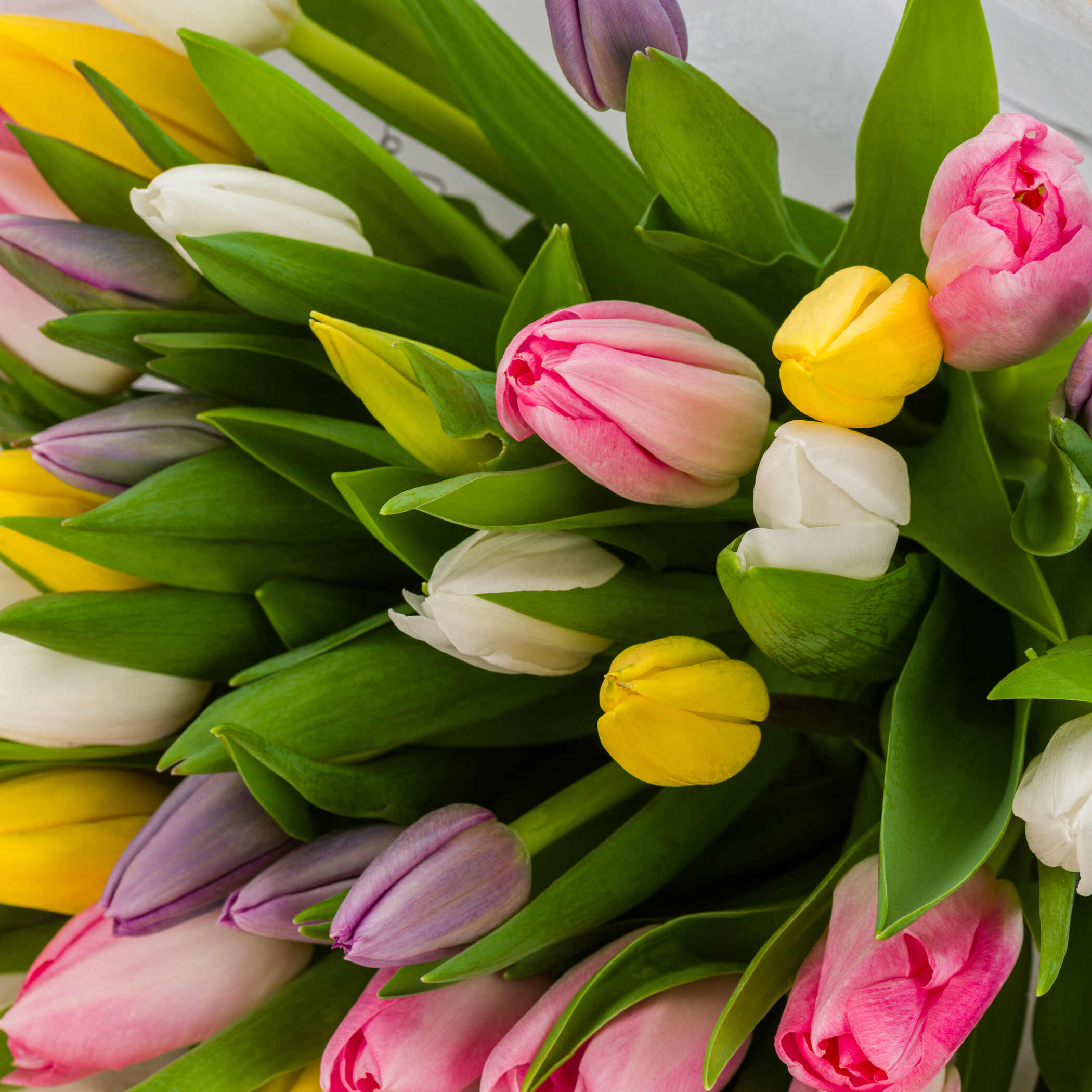 Tender Love Bouquet Tender Love Bouquet
