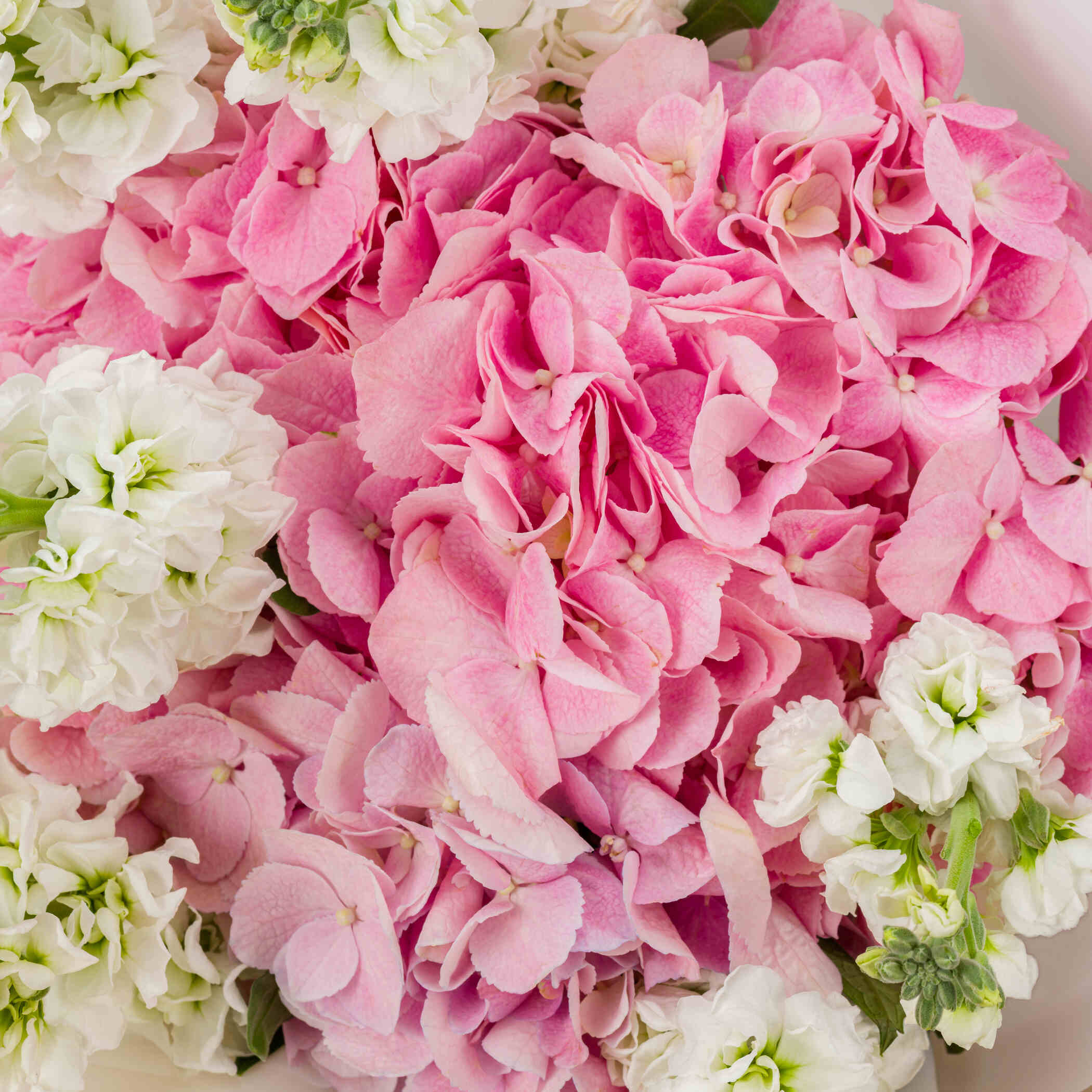 Bostani Small Box Of Rose Chocolates | Delightful Spring Bouquet Bostani Small Box Of Rose Chocolates | Delightful Spring Bouquet