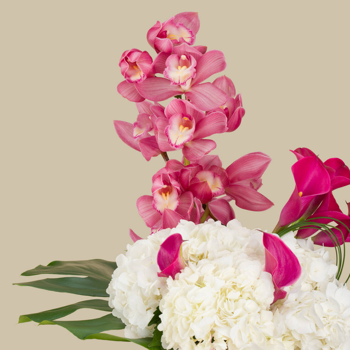 Delicate Touches Premium Vase Delicate Touches Premium Vase