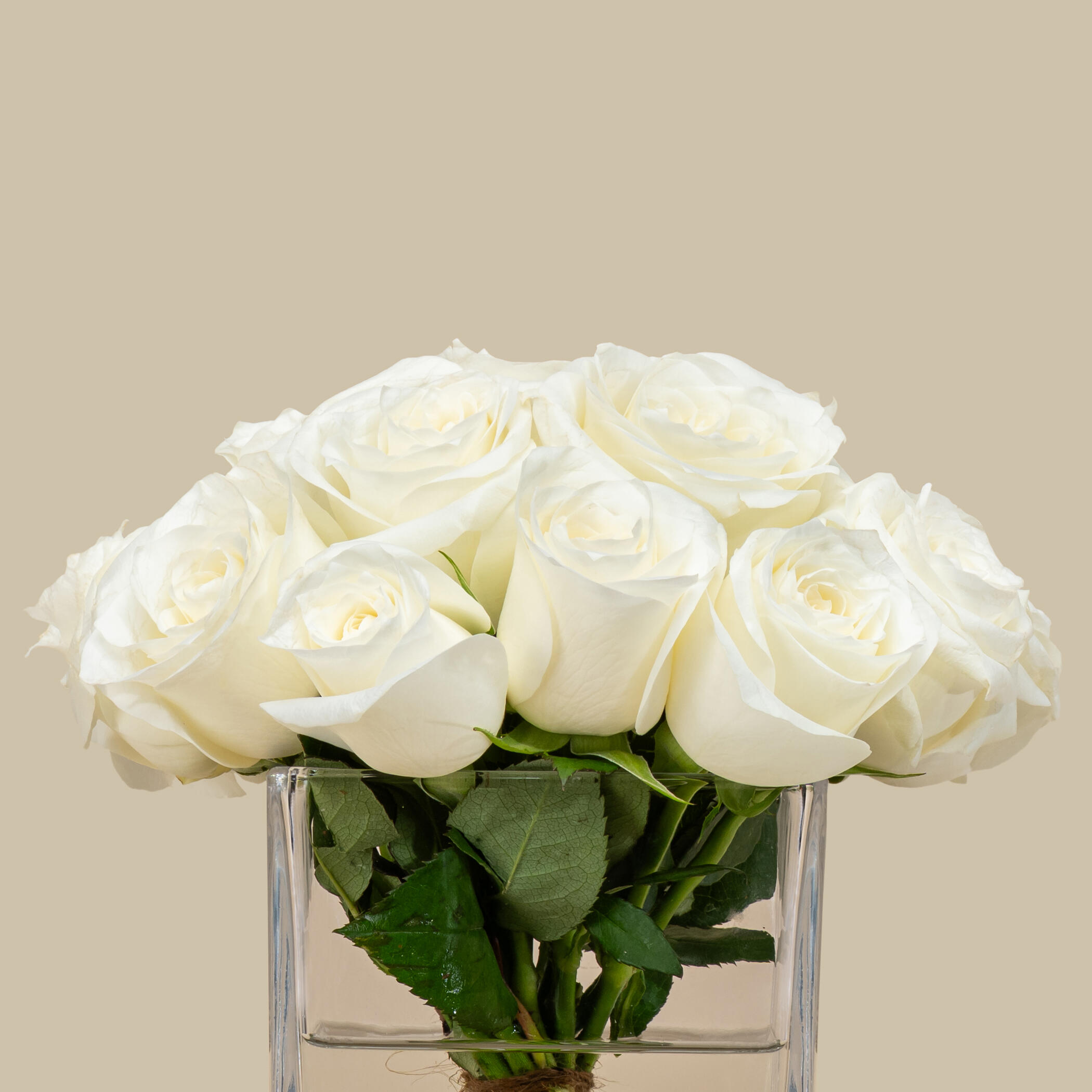 Elegant Rose Square Vase White | 15 Flowers Elegant Rose Square Vase White | 15 Flowers