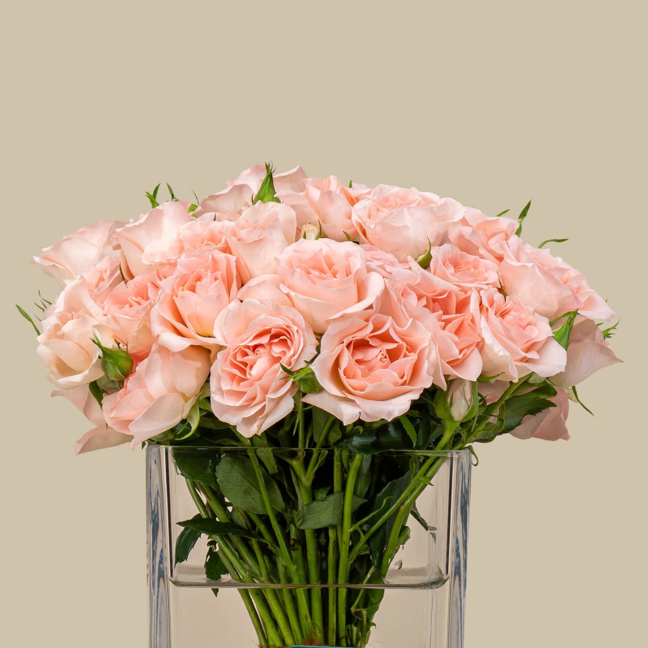 Fresh Spray Rose Square Vase Peach | 15 Flowers Fresh Spray Rose Square Vase Peach | 15 Flowers