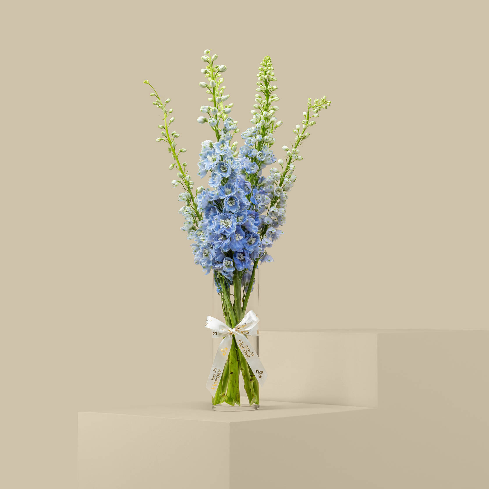 Light Blue Delphinium Vase Light Blue Delphinium Vase