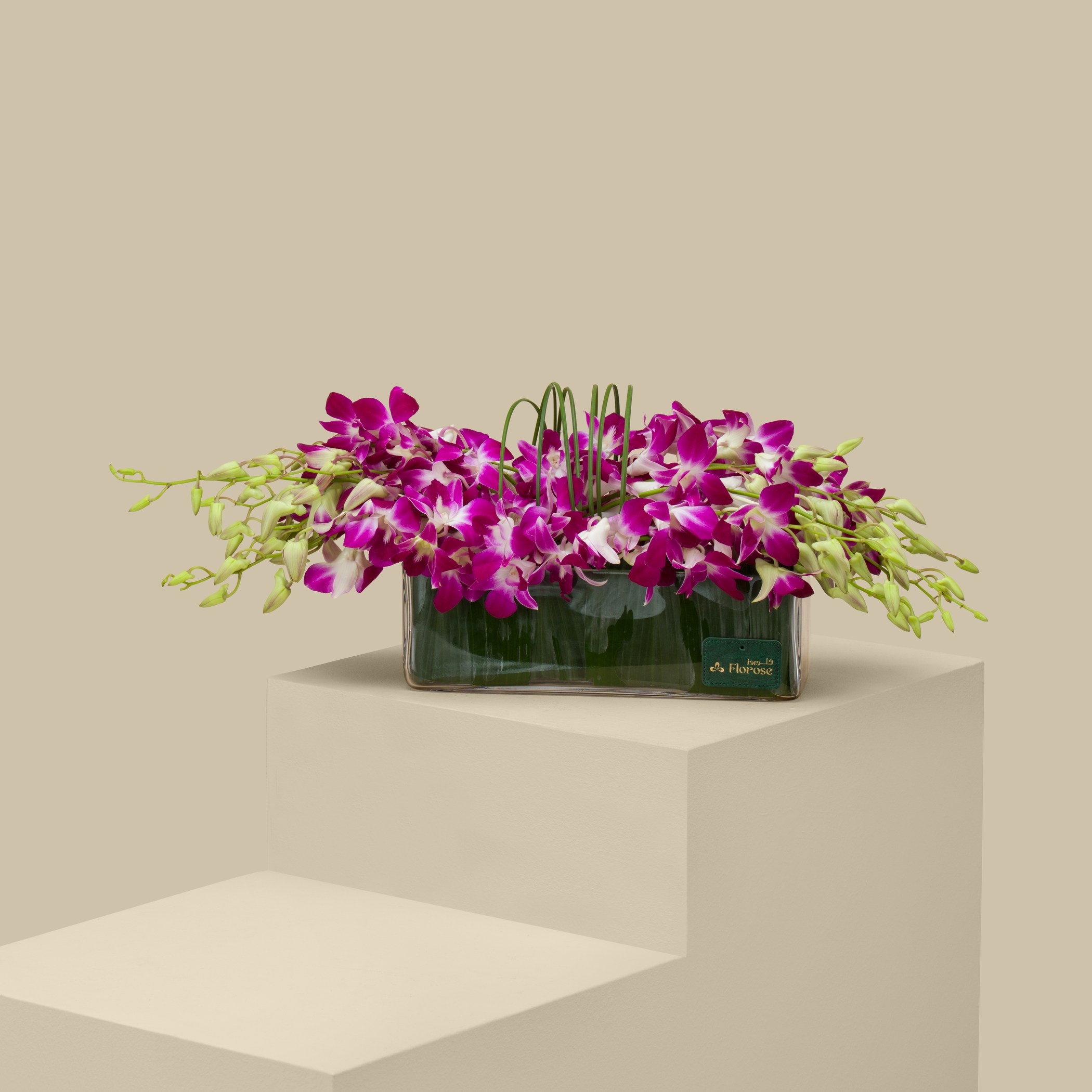 Mysterious Galaxy Rec Vase Mysterious Galaxy Rec Vase