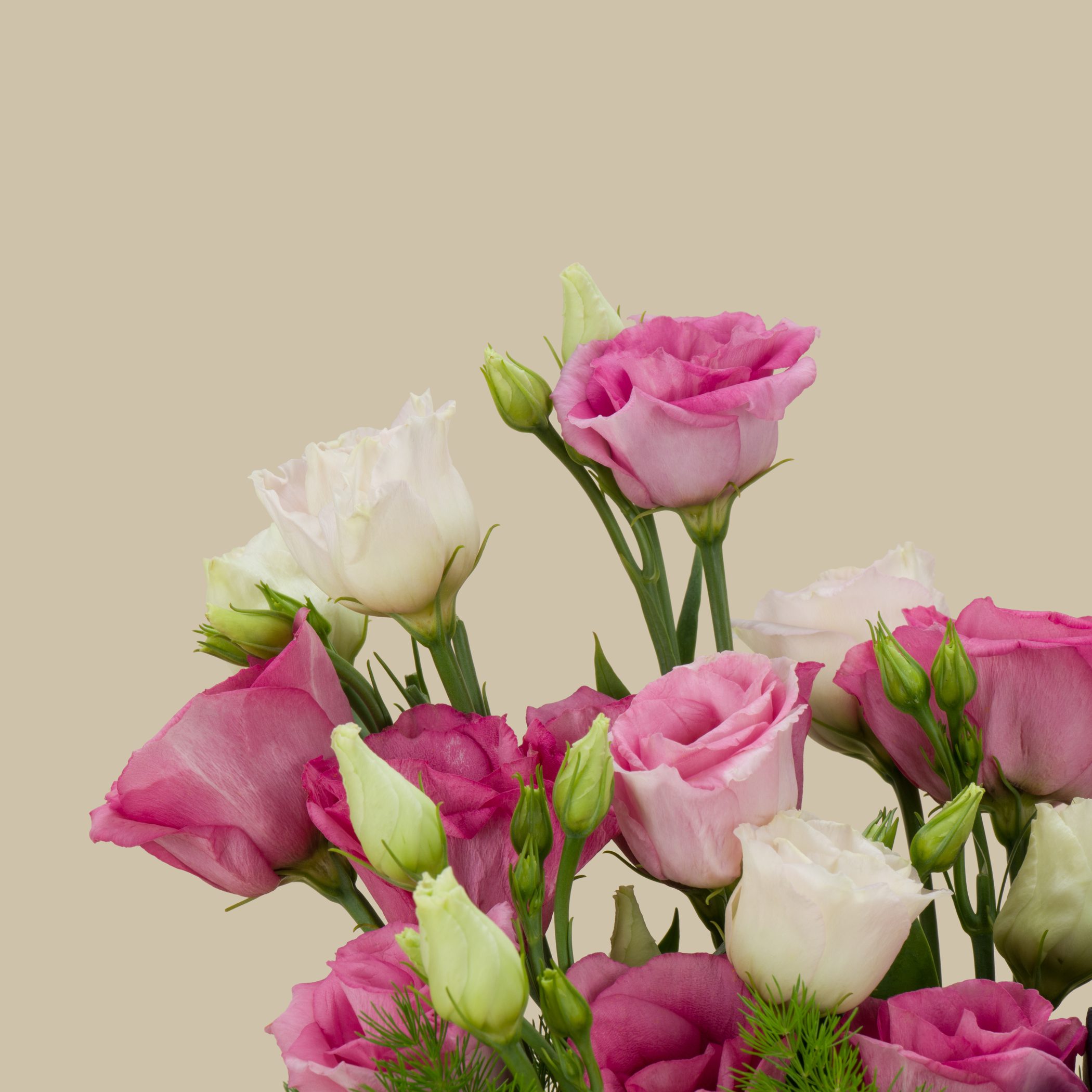 Damas Farfasha Shams Earrings | Perfect Mix Rec Vase Damas Farfasha Shams Earrings | Perfect Mix Rec Vase