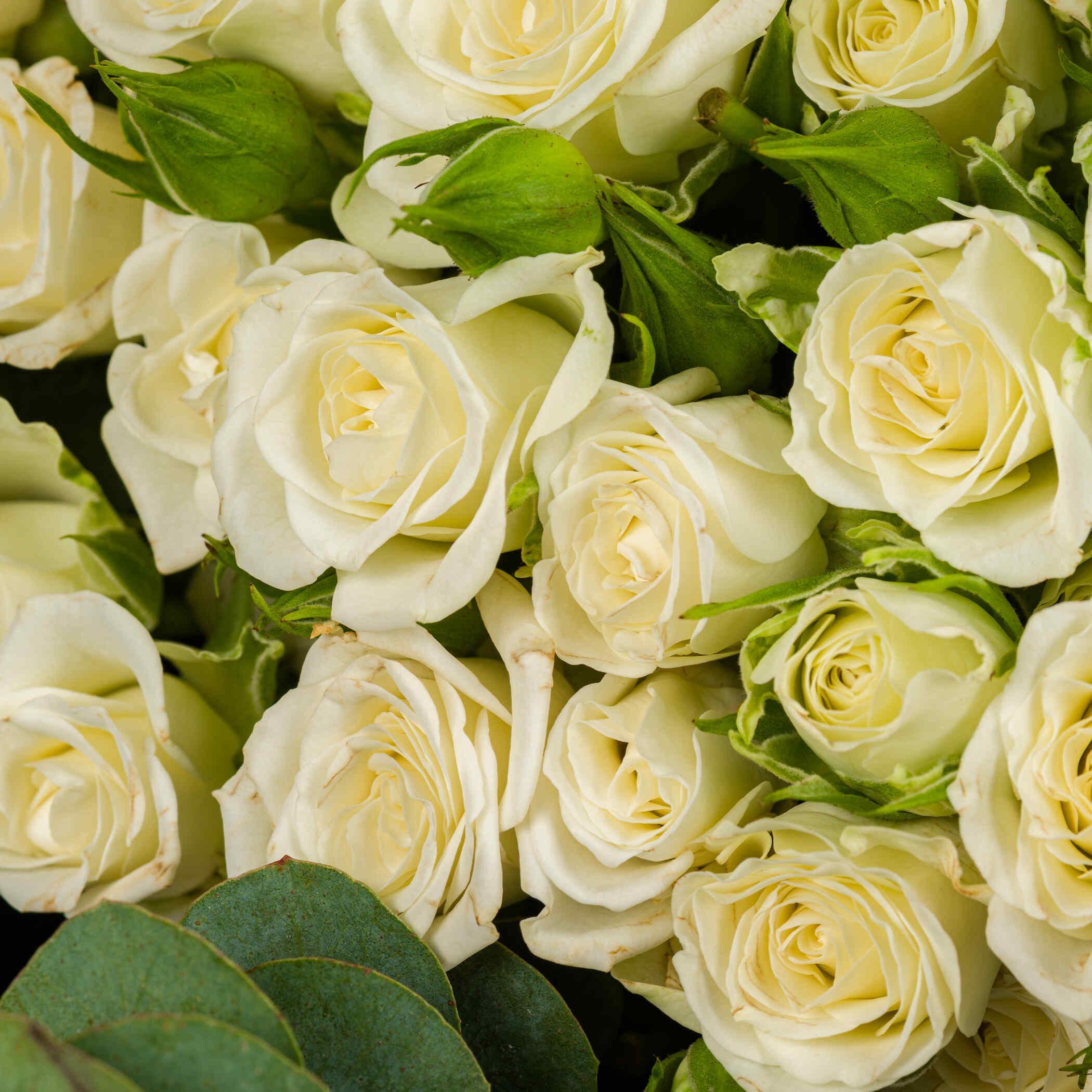 Moonlit Blossom Bouquet Moonlit Blossom Bouquet