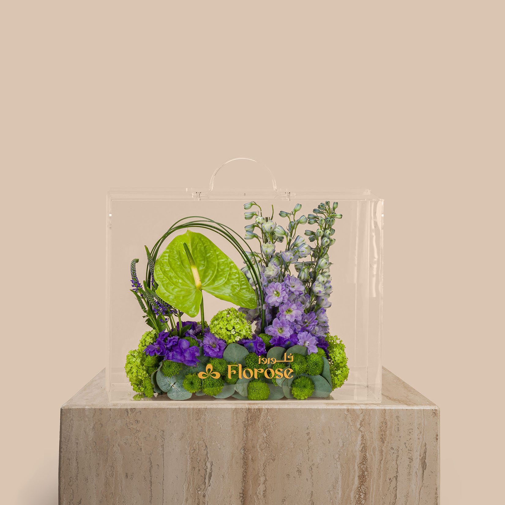 Acrylic Bag Vioressa Acrylic Bag Vioressa