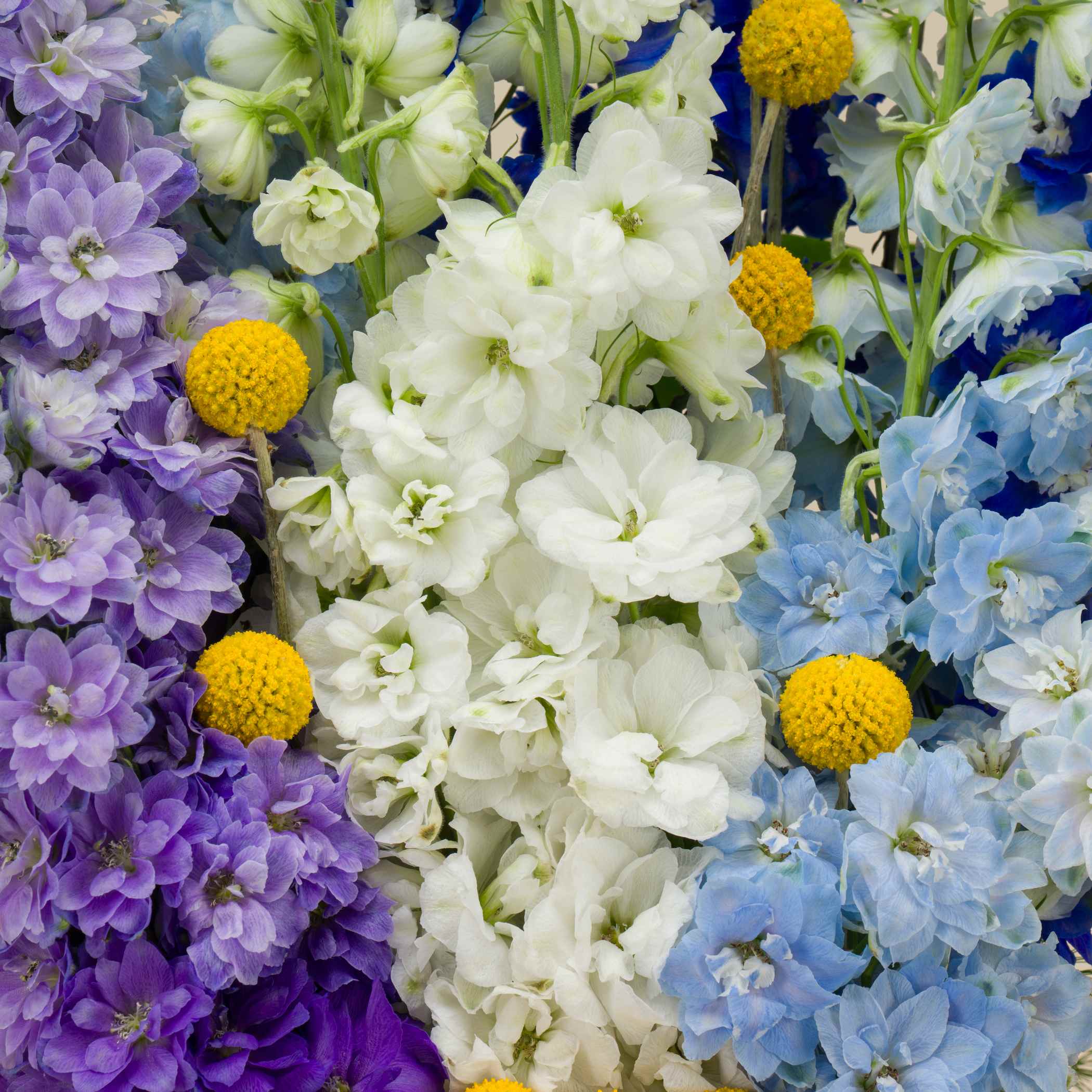 Magical Glimpse Square Vase Magical Glimpse Square Vase
